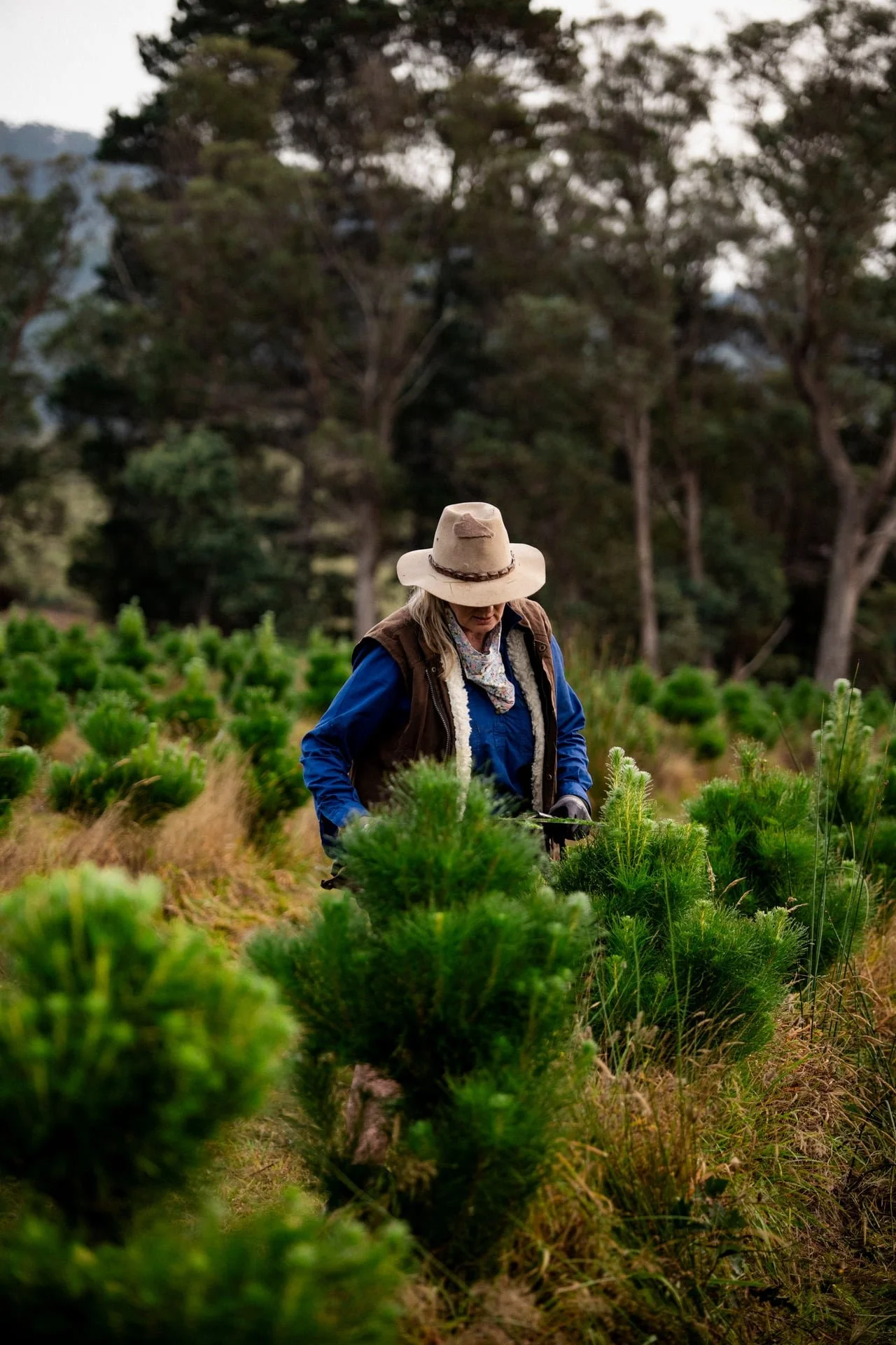 Huon_River_Downs_Brand_Shoot_123.jpg