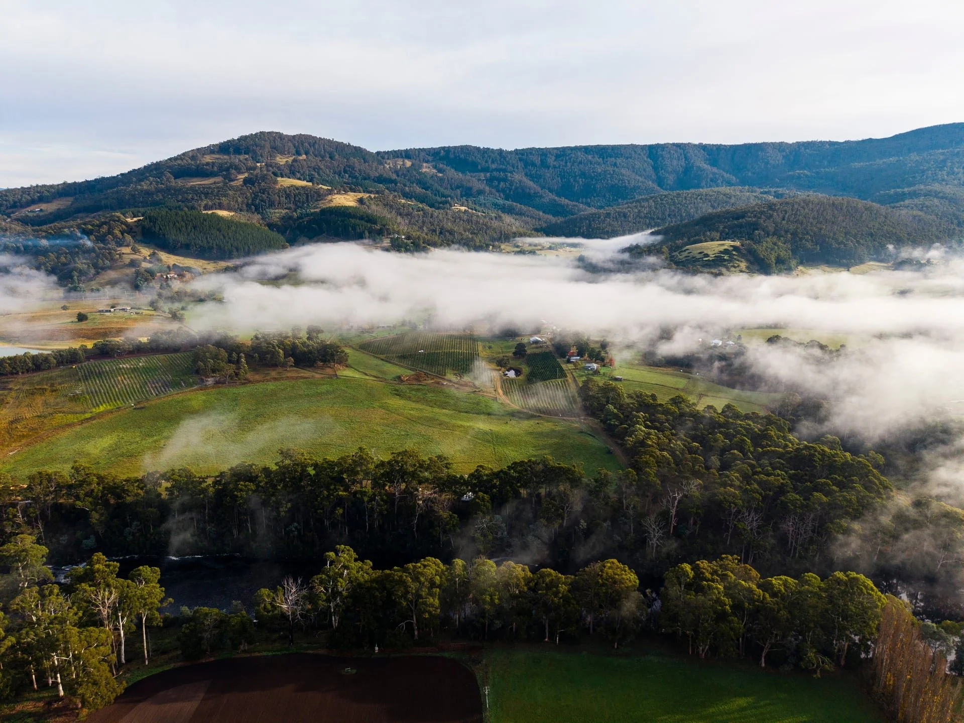 Huon_River_Downs_Brand_Shoot_Drone_13.jpg