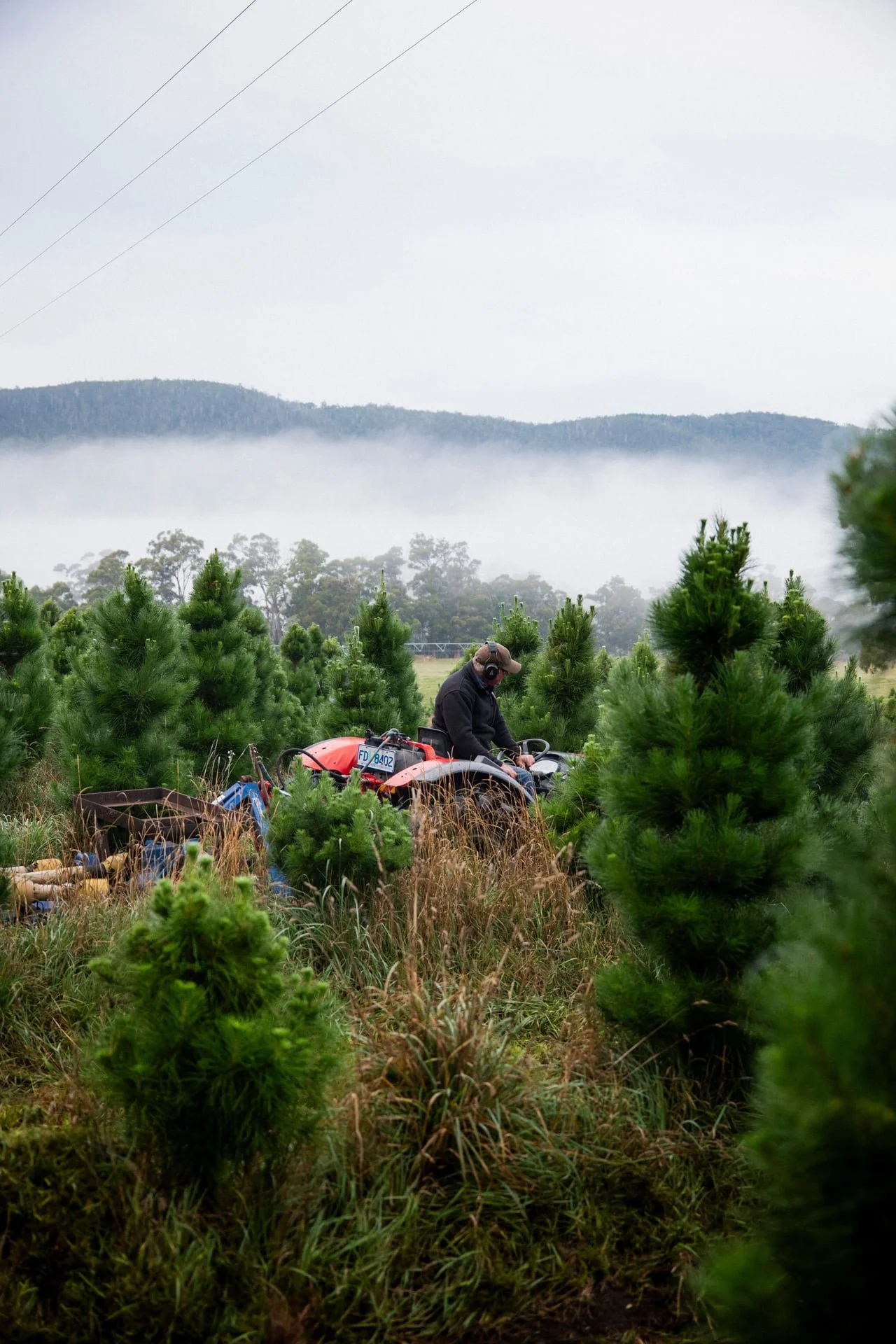 Huon_River_Downs_Brand_Shoot_19.jpg