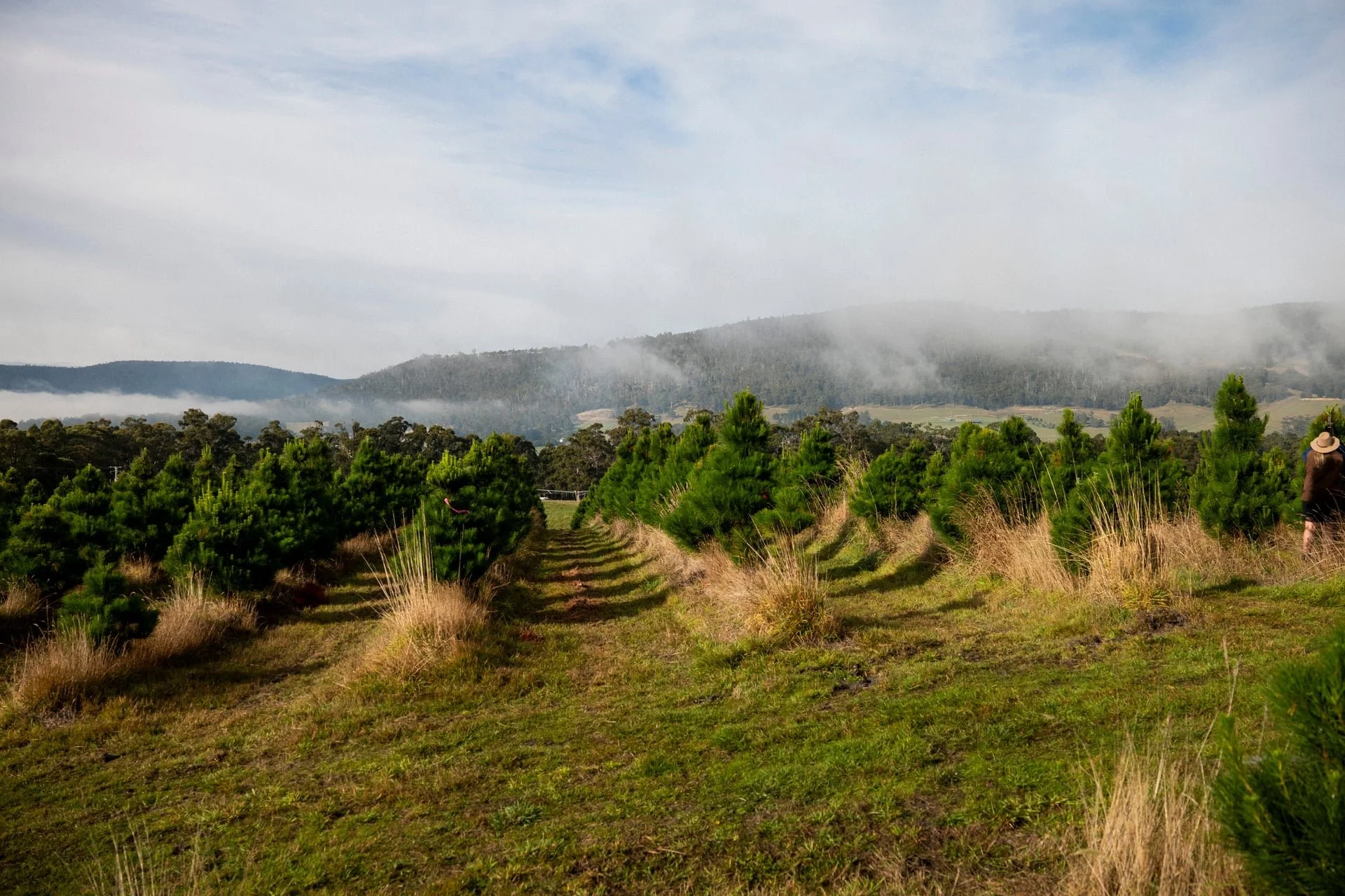 Huon_River_Downs_Brand_Shoot_162.jpg