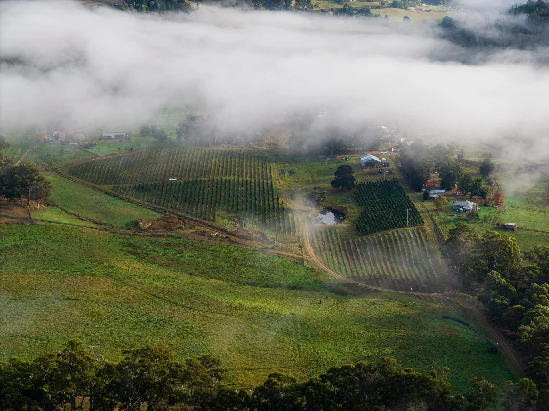 Huon_River_Downs_Brand_Shoot_Drone_14.jpg