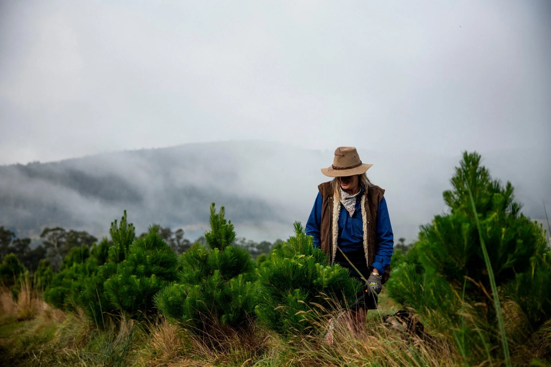 Huon_River_Downs_Brand_Shoot_142.jpg