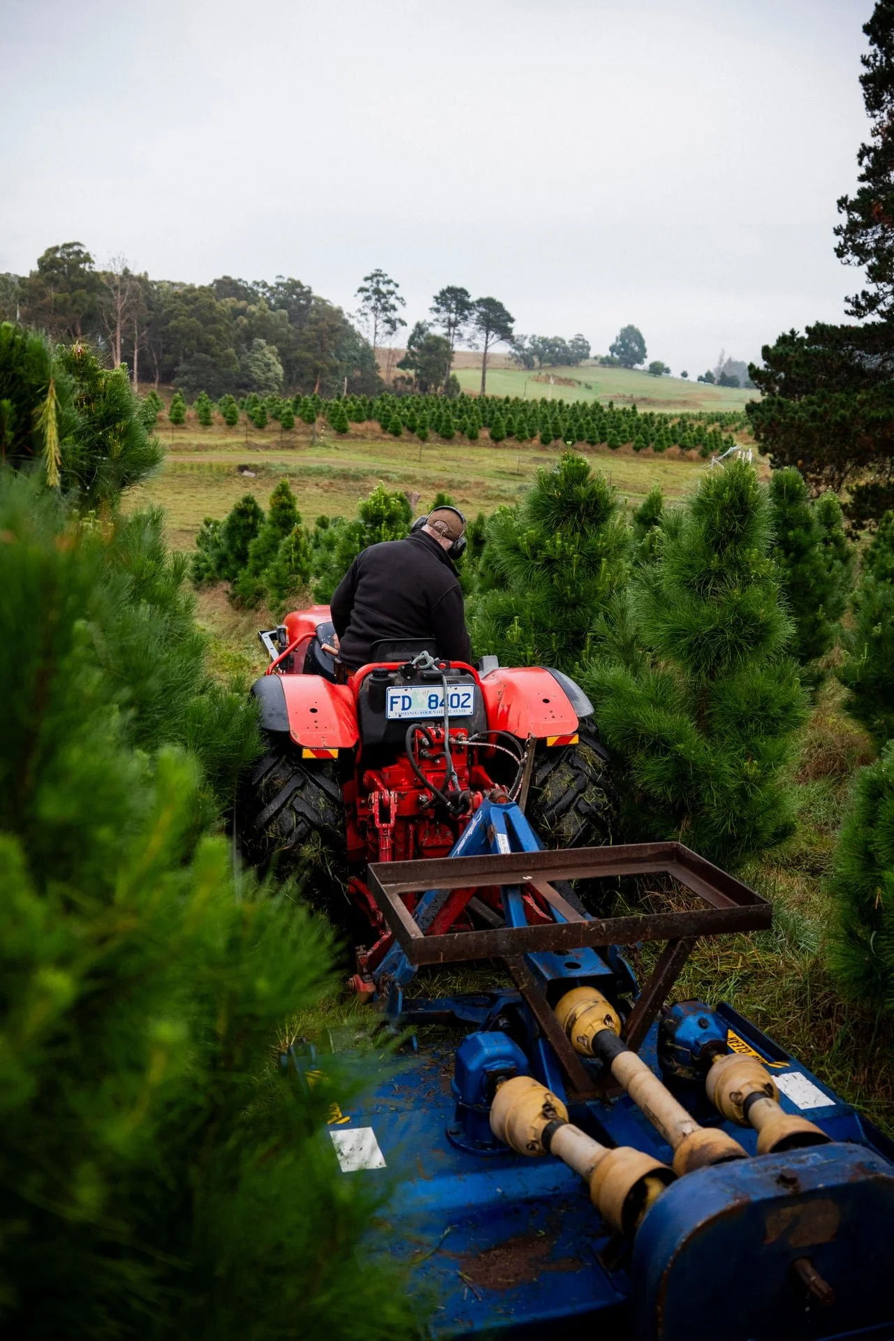 Huon_River_Downs_Brand_Shoot_33.jpg