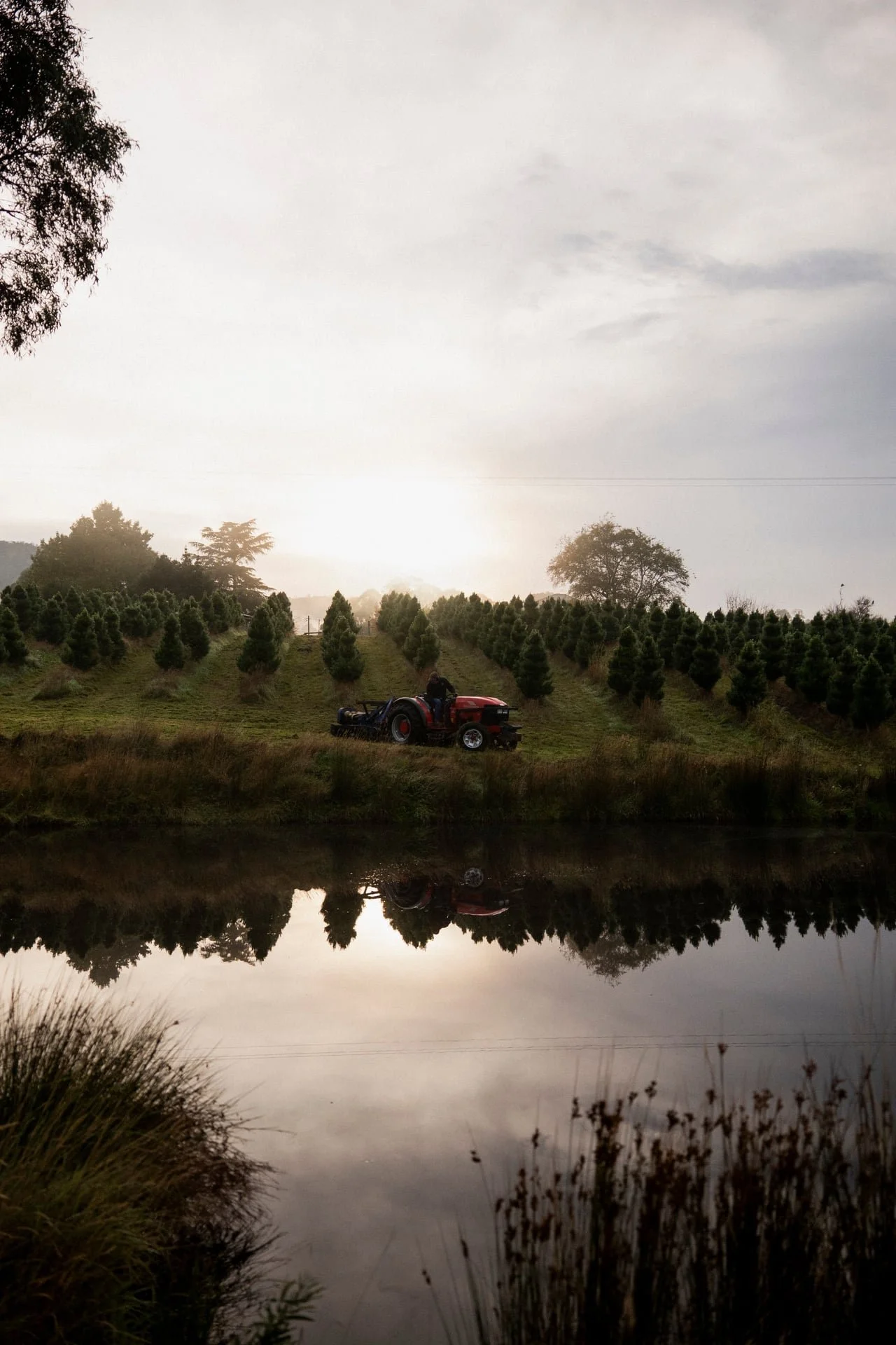 Huon_River_Downs_Brand_Shoot_37.jpg