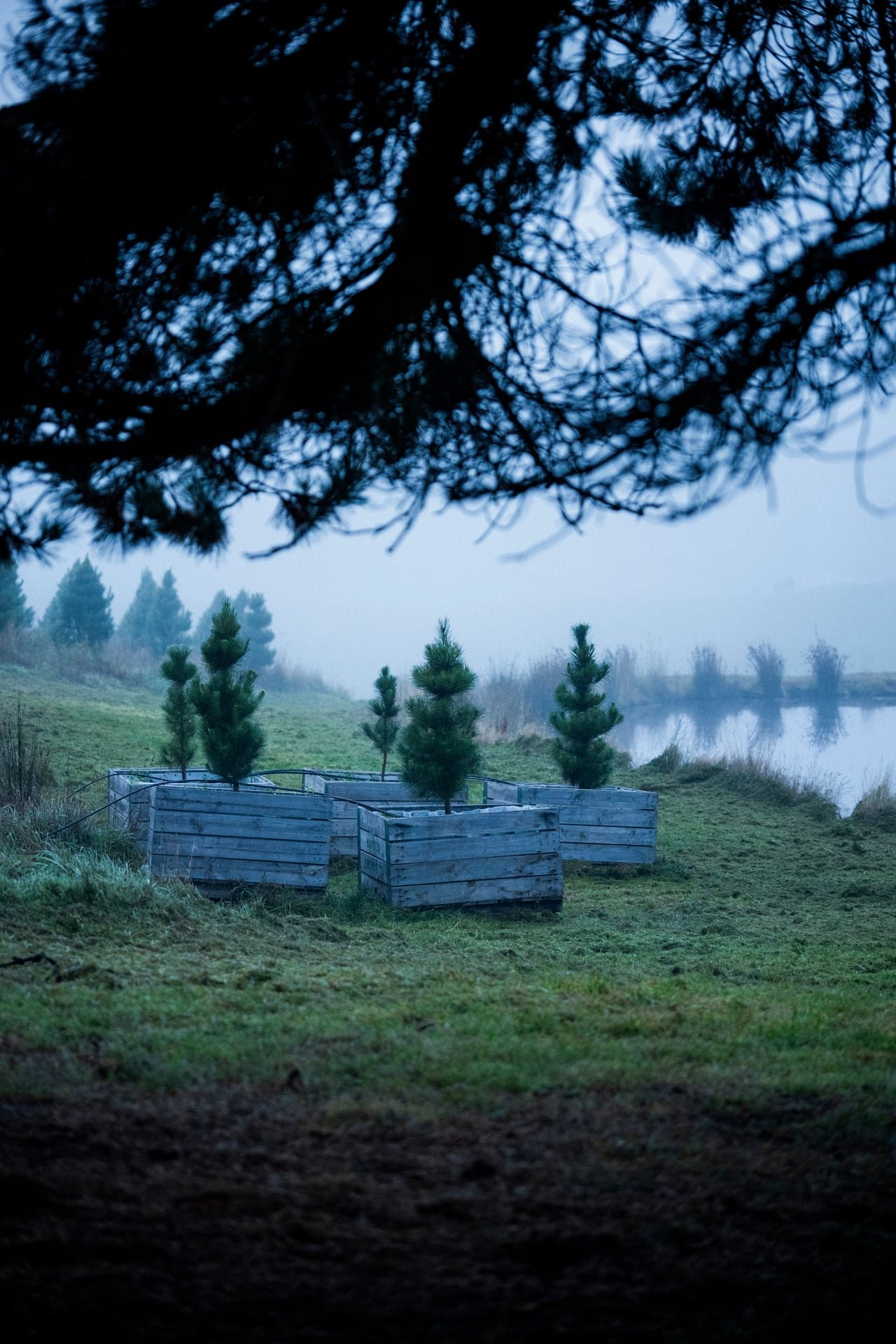 Huon_River_Downs_Brand_Shoot_16.jpg