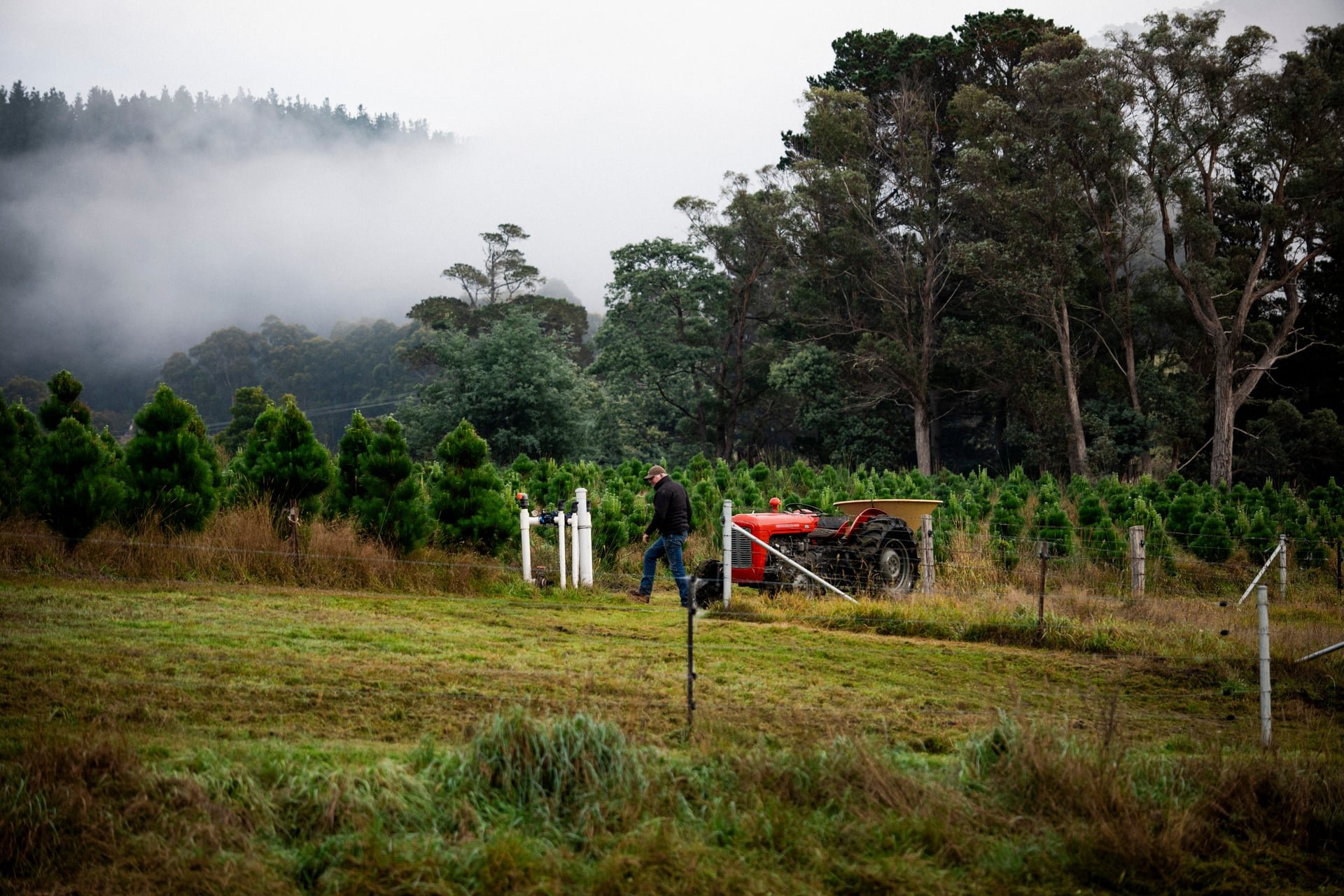 Huon_River_Downs_Brand_Shoot_108.jpg