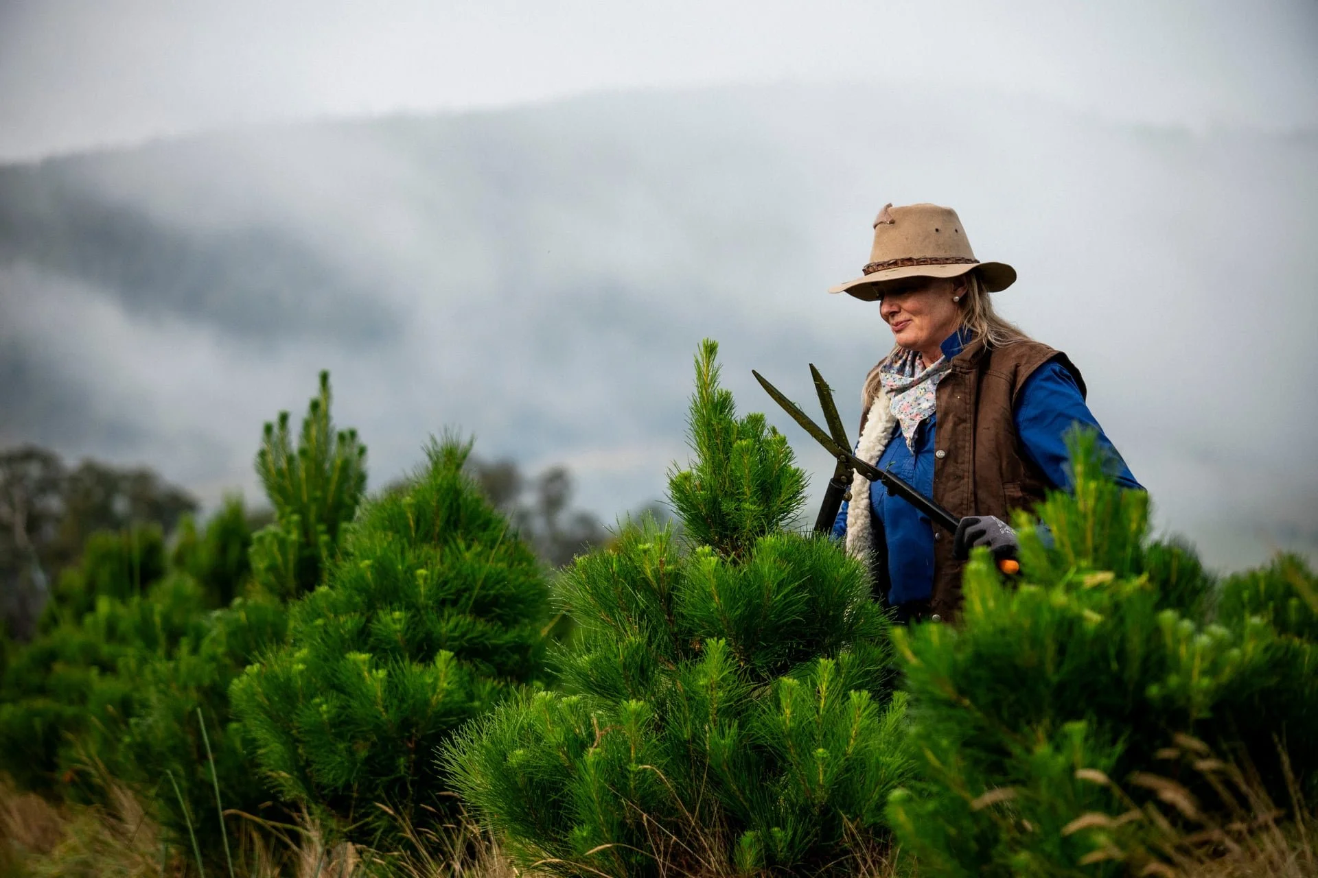 Huon_River_Downs_Brand_Shoot_143.jpg