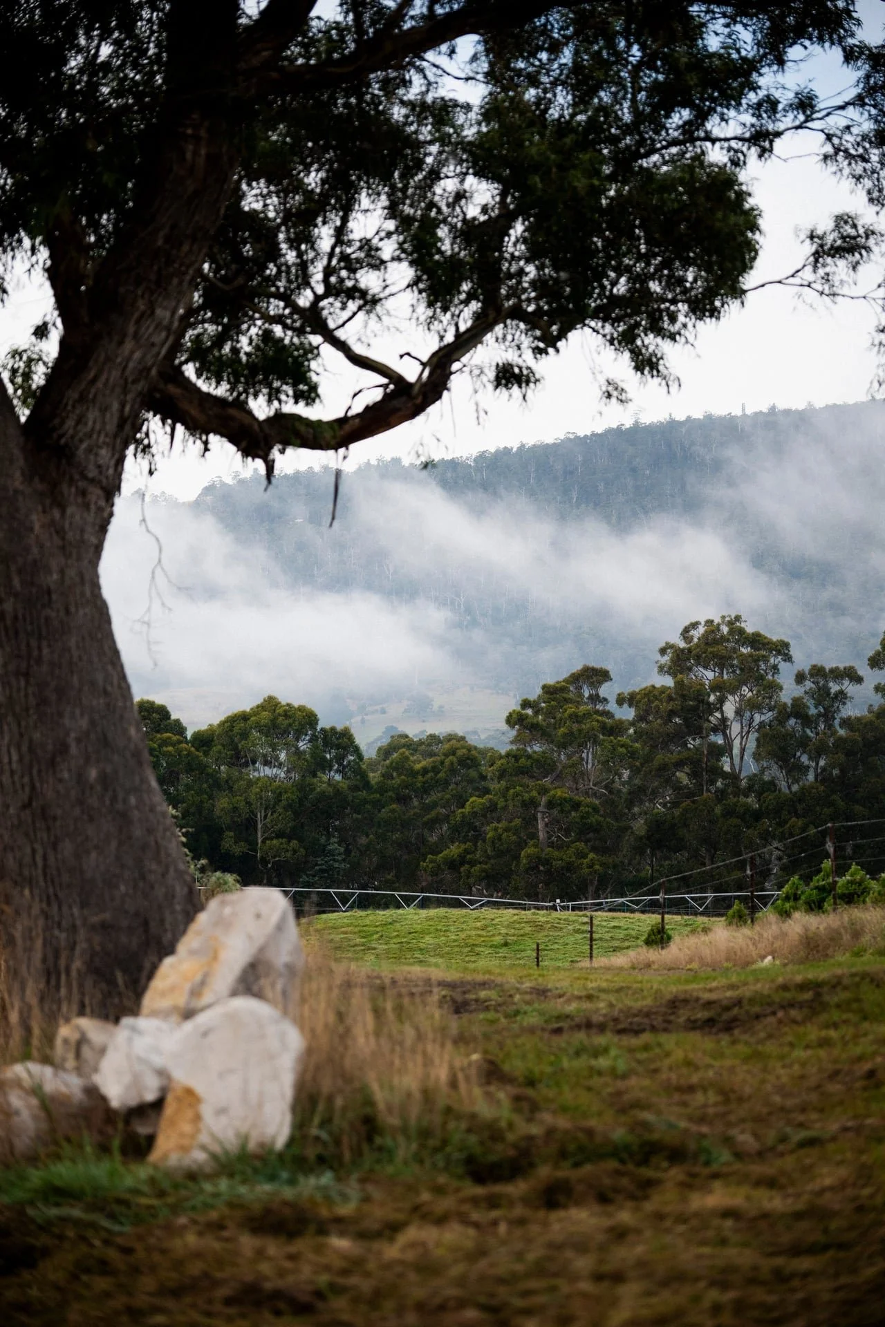 Huon_River_Downs_Brand_Shoot_107.jpg