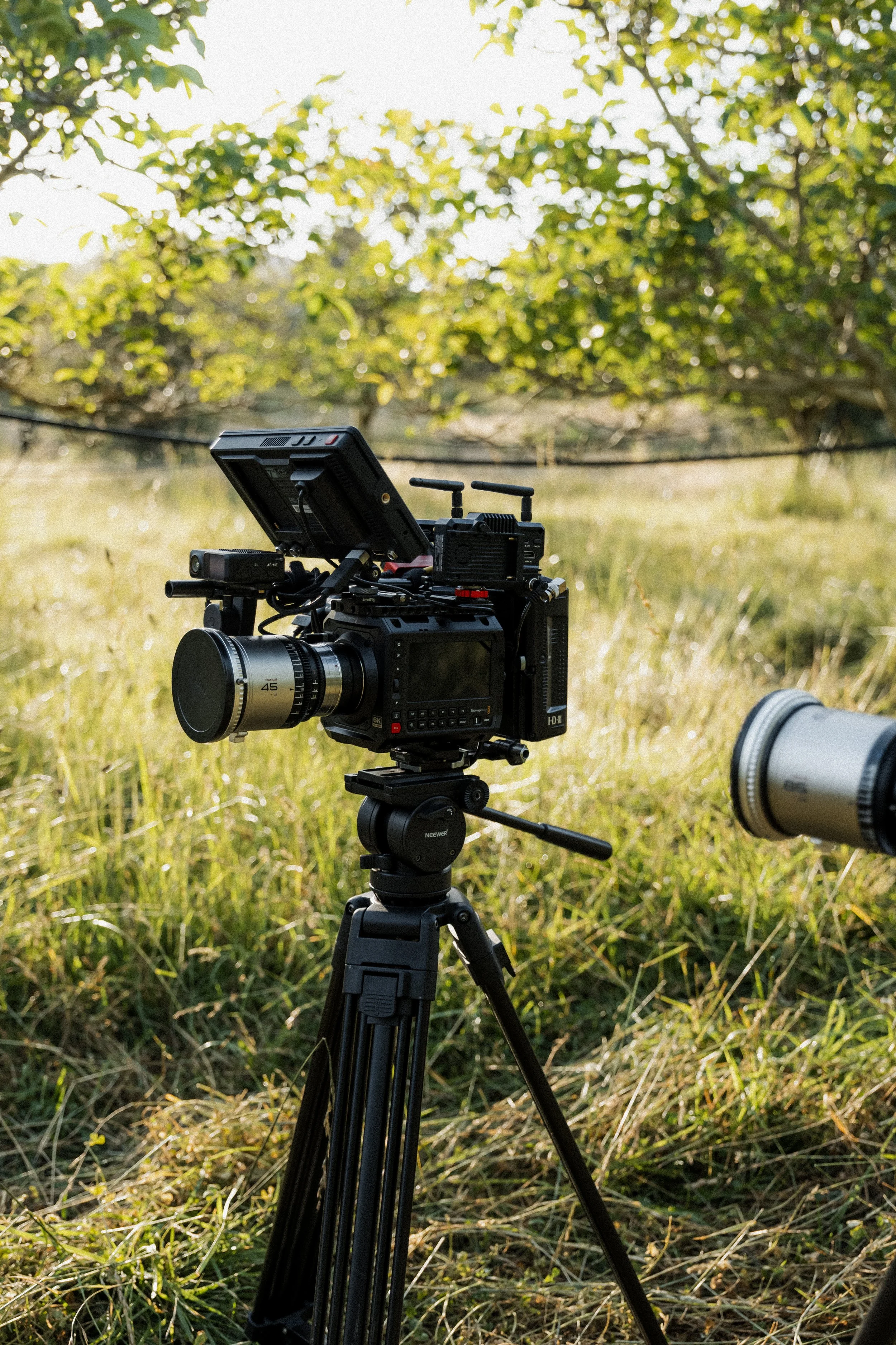 A professional camera mounted on a tripod outdoors in a grassy field with trees and sunlight in the background.