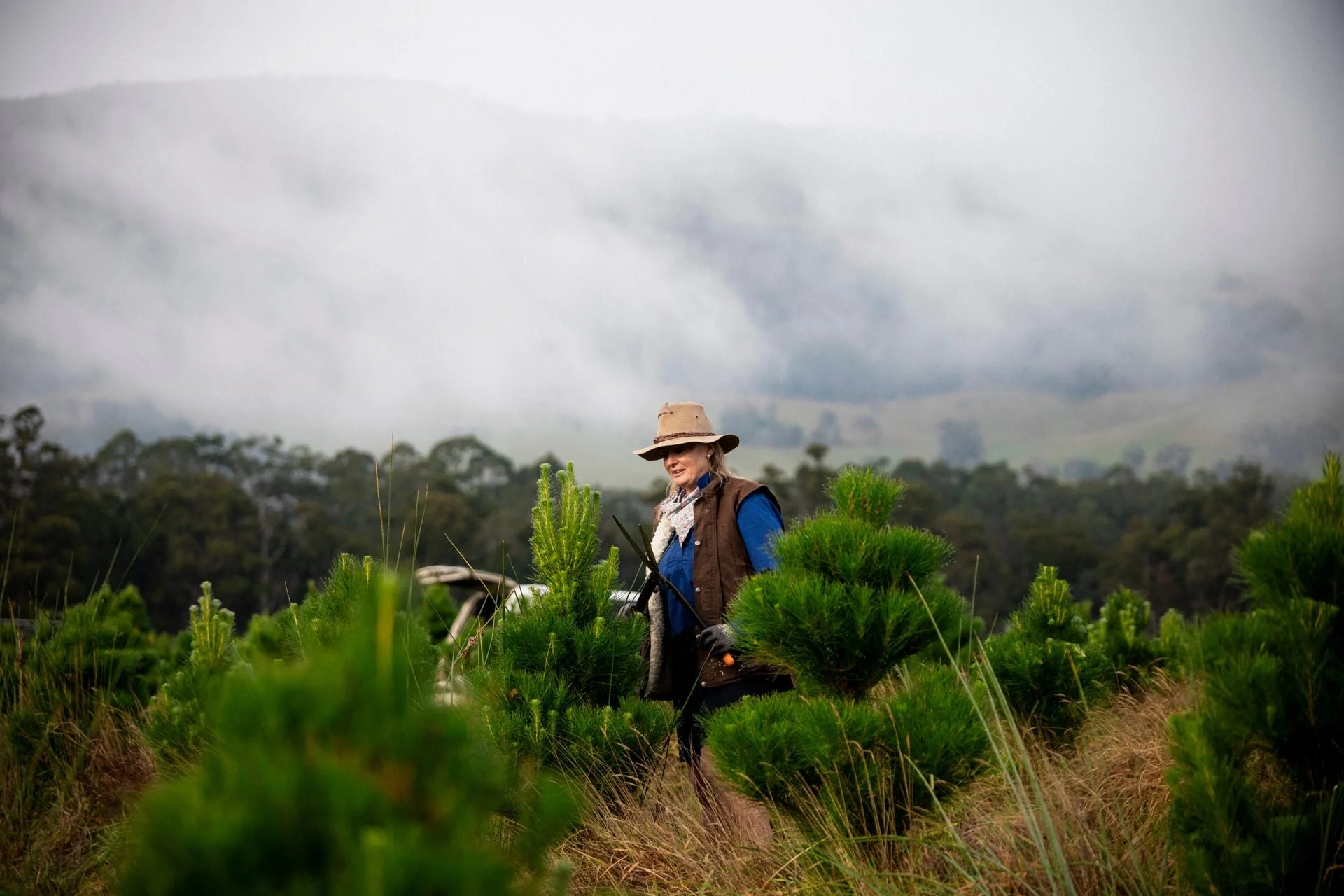 Huon_River_Downs_Brand_Shoot_132.jpg