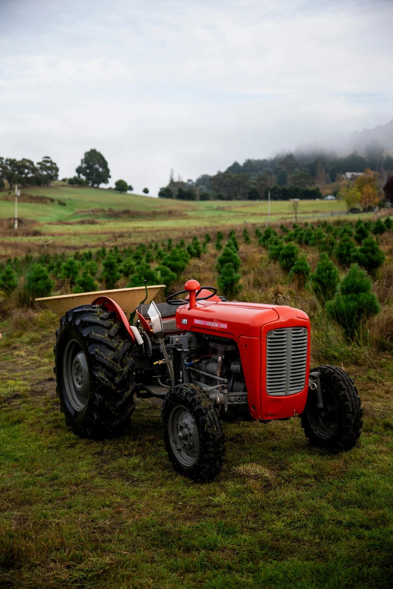 Huon_River_Downs_Brand_Shoot_89.jpg