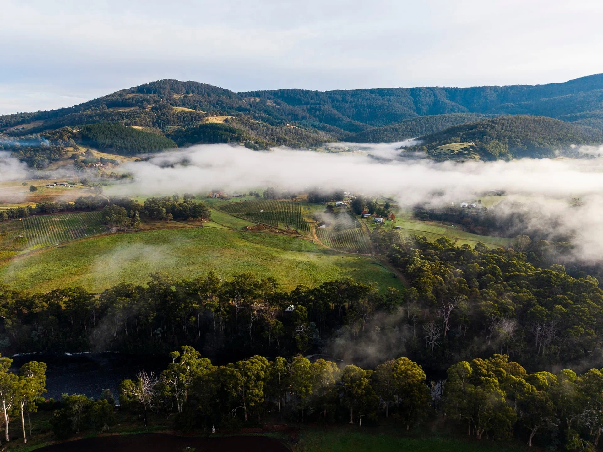 Huon_River_Downs_Brand_Shoot_Drone_16.jpg