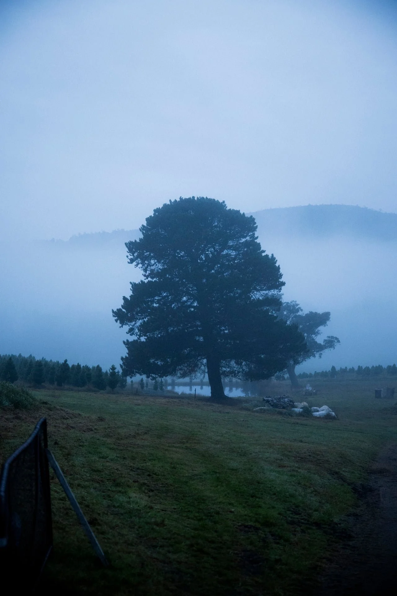Huon_River_Downs_Brand_Shoot_1.jpg