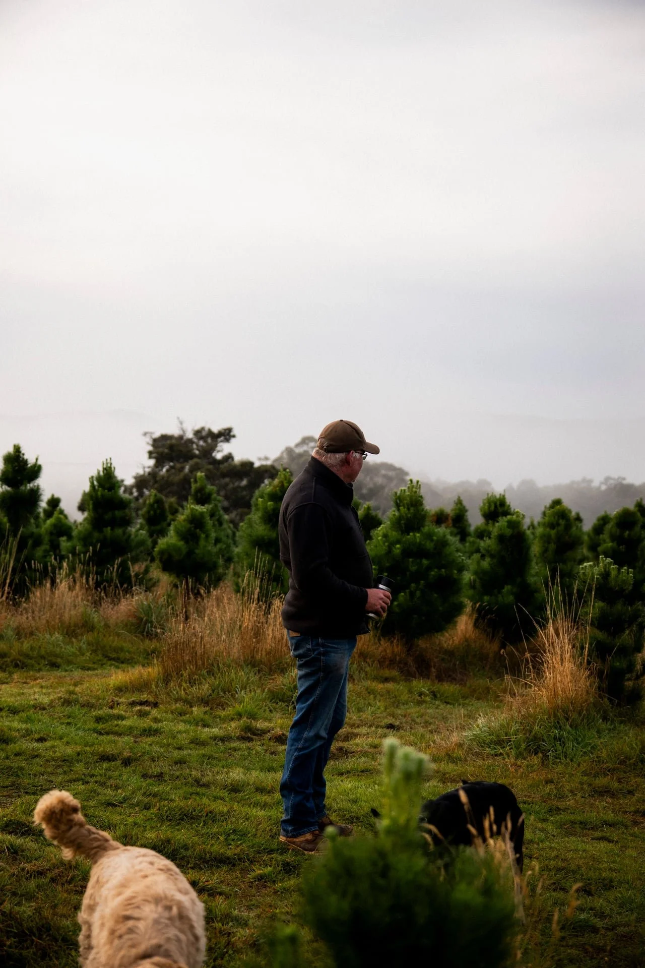 Huon_River_Downs_Brand_Shoot_53.jpg