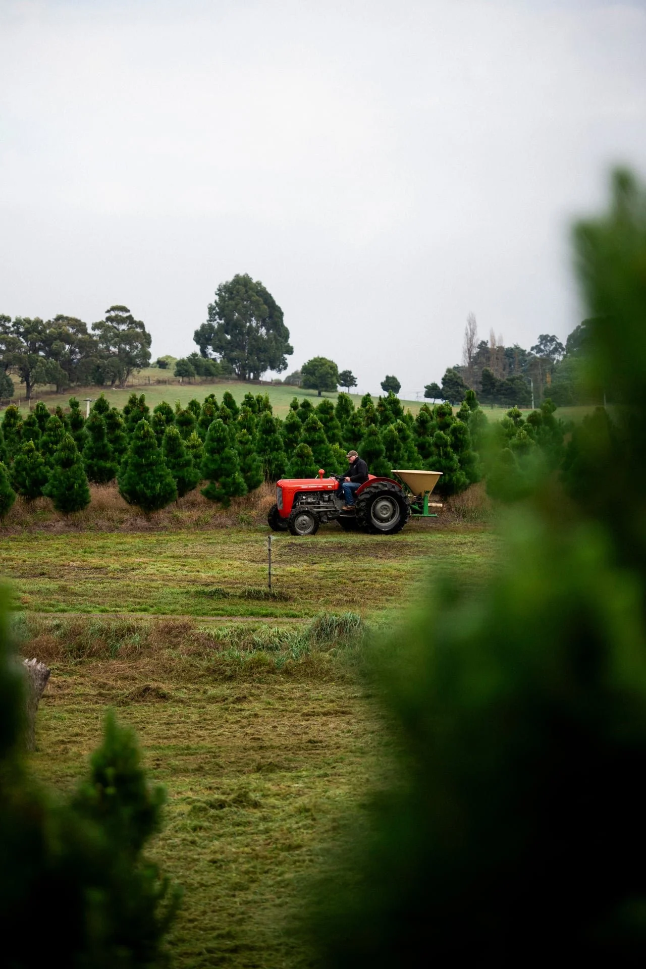 Huon_River_Downs_Brand_Shoot_119.jpg