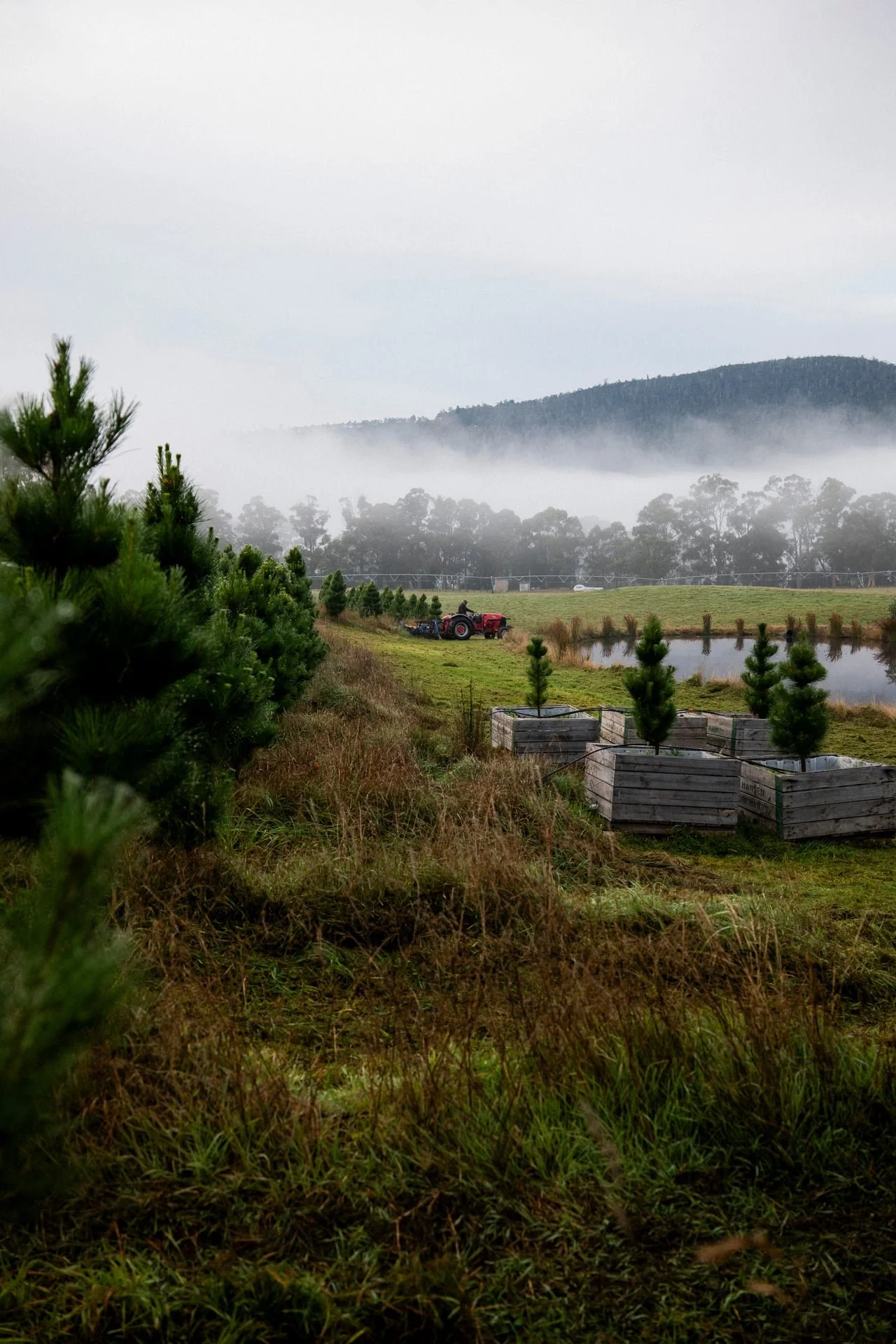 Huon_River_Downs_Brand_Shoot_43.jpg