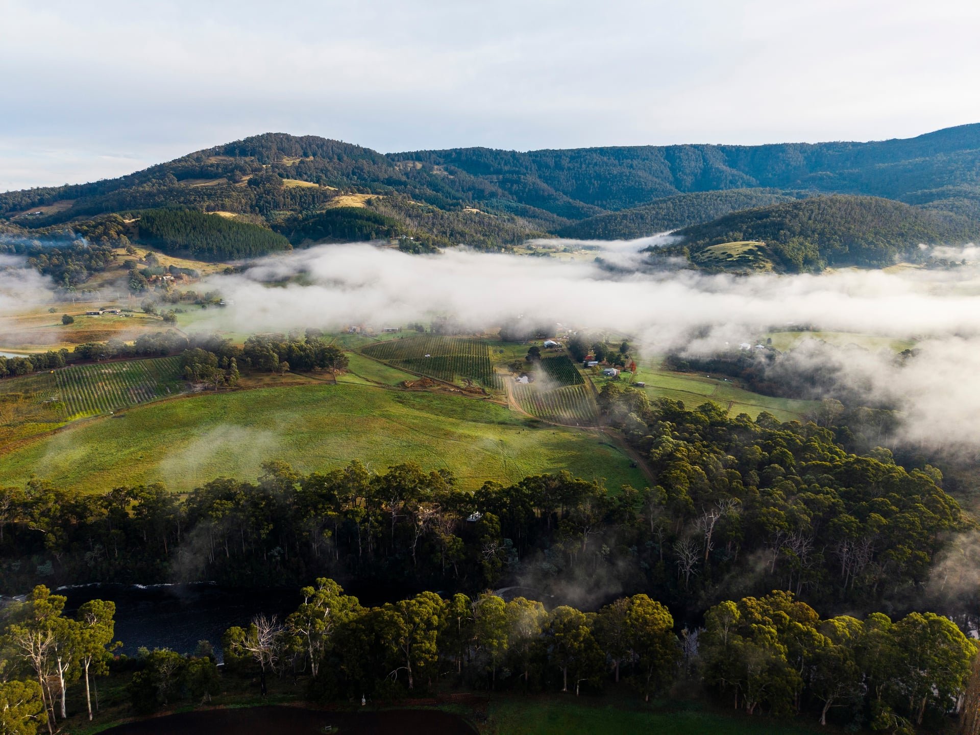 Huon_River_Downs_Brand_Shoot_Drone_15.jpg