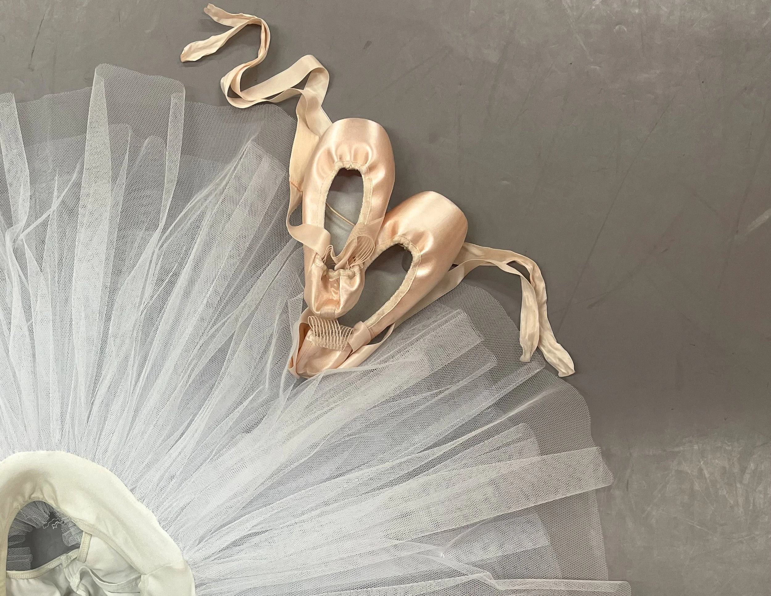 Ballet Things That Shocked My Students In 2024 — Nova Dance Coaching