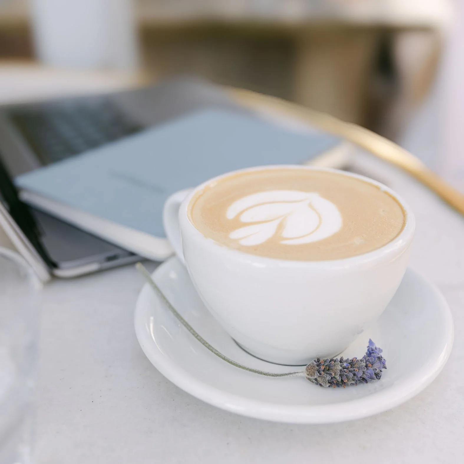 Malibu-Farm-Coffee105.jpg
