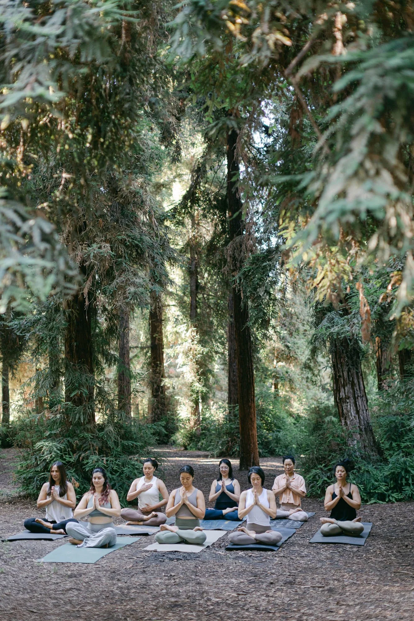 Sperling-Photo-Co-Bootea-Blog-Redwoods-1028.jpg