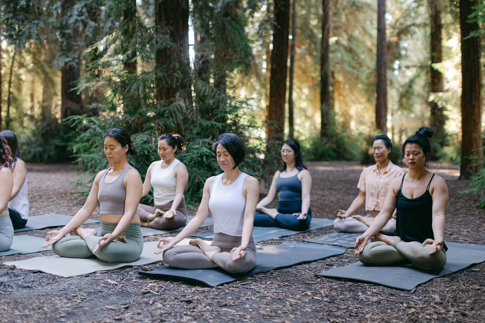 Sperling-Photo-Co-Bootea-Blog-Redwoods-1032.jpg