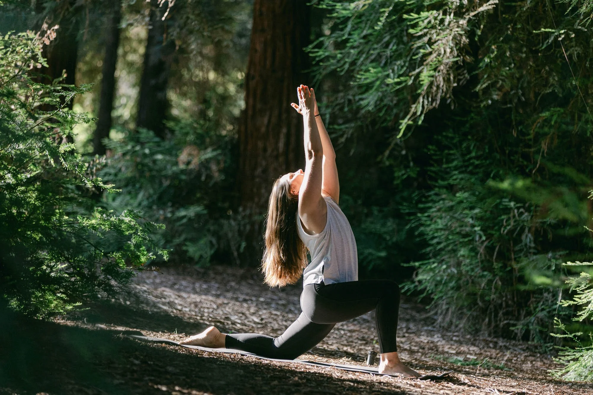 Sperling-Photo-Co-Bootea-Blog-Redwoods-1041.jpg