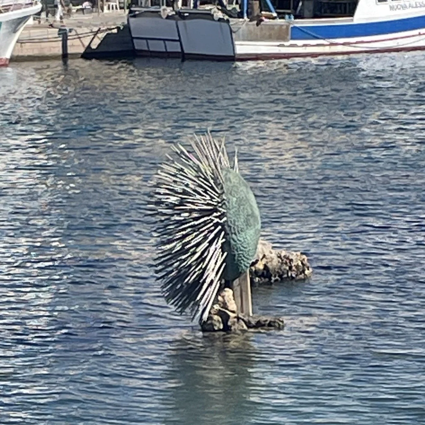 Hi all.
First comp weekend for the year is next weekend 7-8 Feb. Sign up via LiveHeats and if you haven't registered for the year you'll need to do that first. 
Cutoff to sign up to comps this year is THURSDAY 6pm. 
AGM minutes and anything else you 