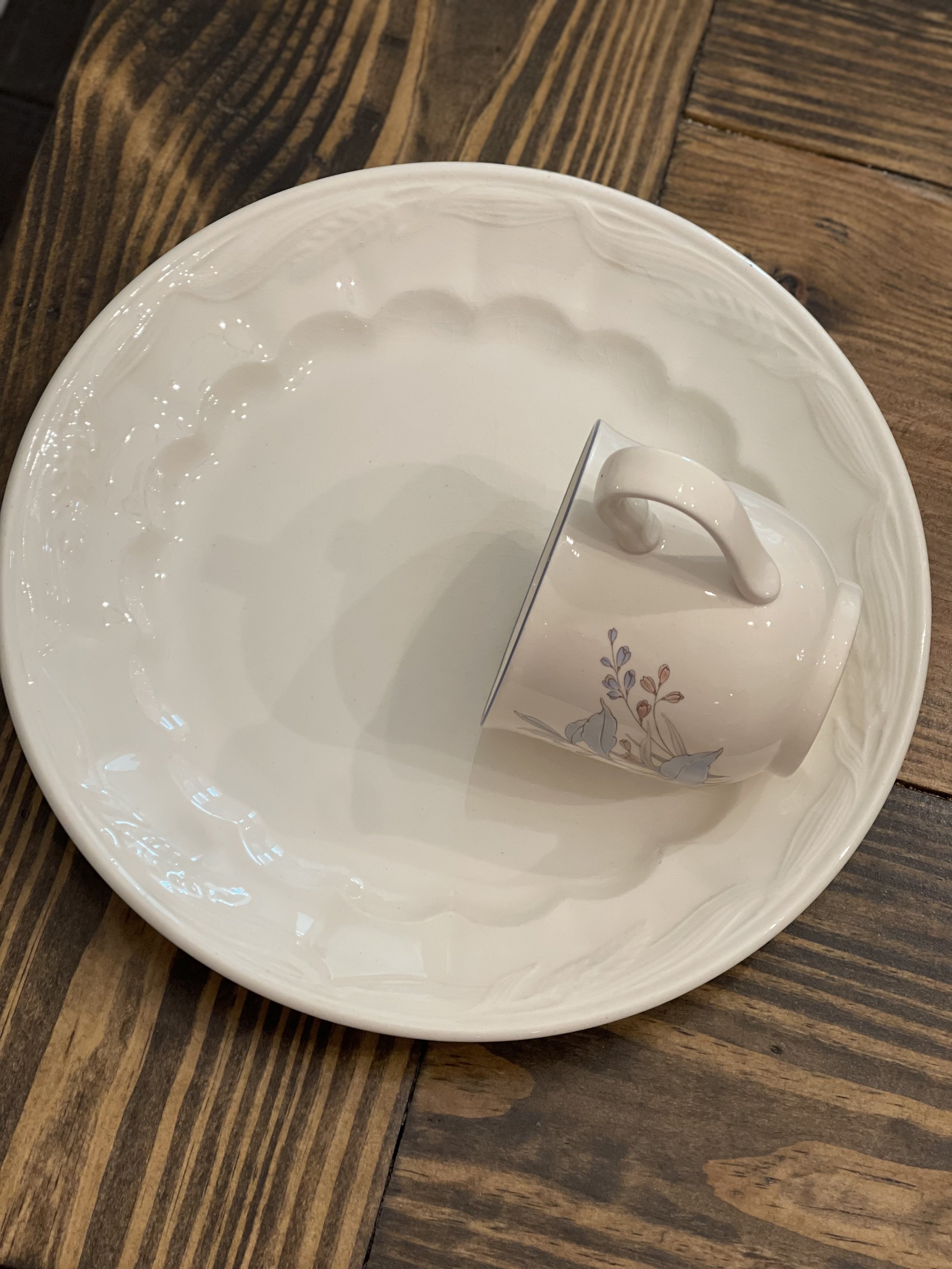 Plain Jane Tea Cup Feeder
