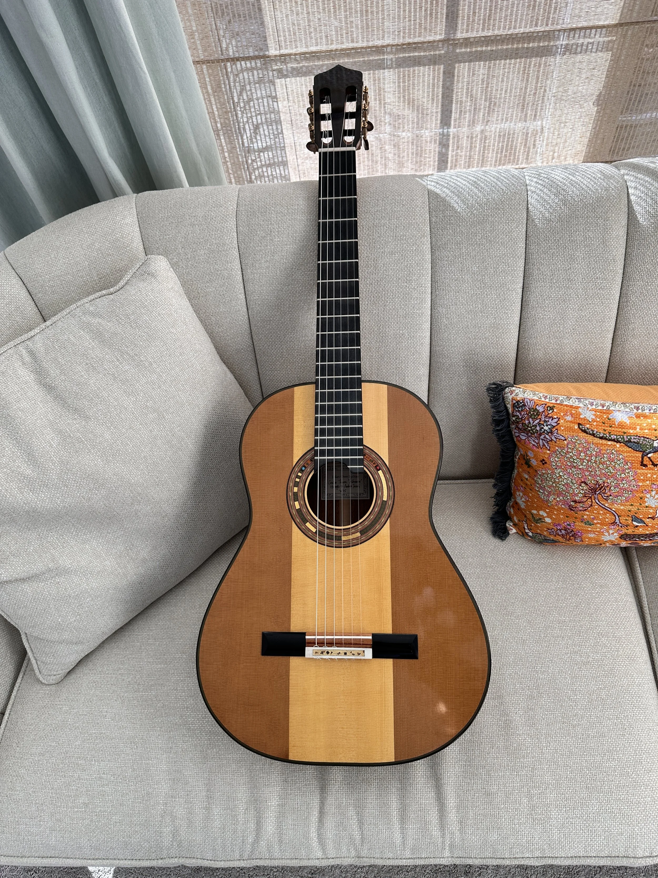 2025 Jialan Chen, Coclea Thucea "Fibonacci"