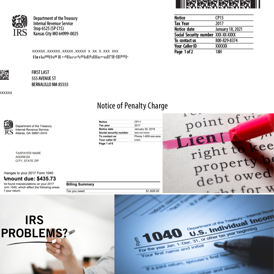 Tax Resolution Services: A Specialized Division at Parks Projects NJ