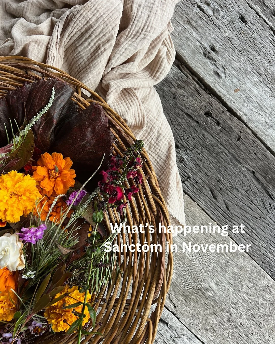 November at Sanctōm 💌🫧