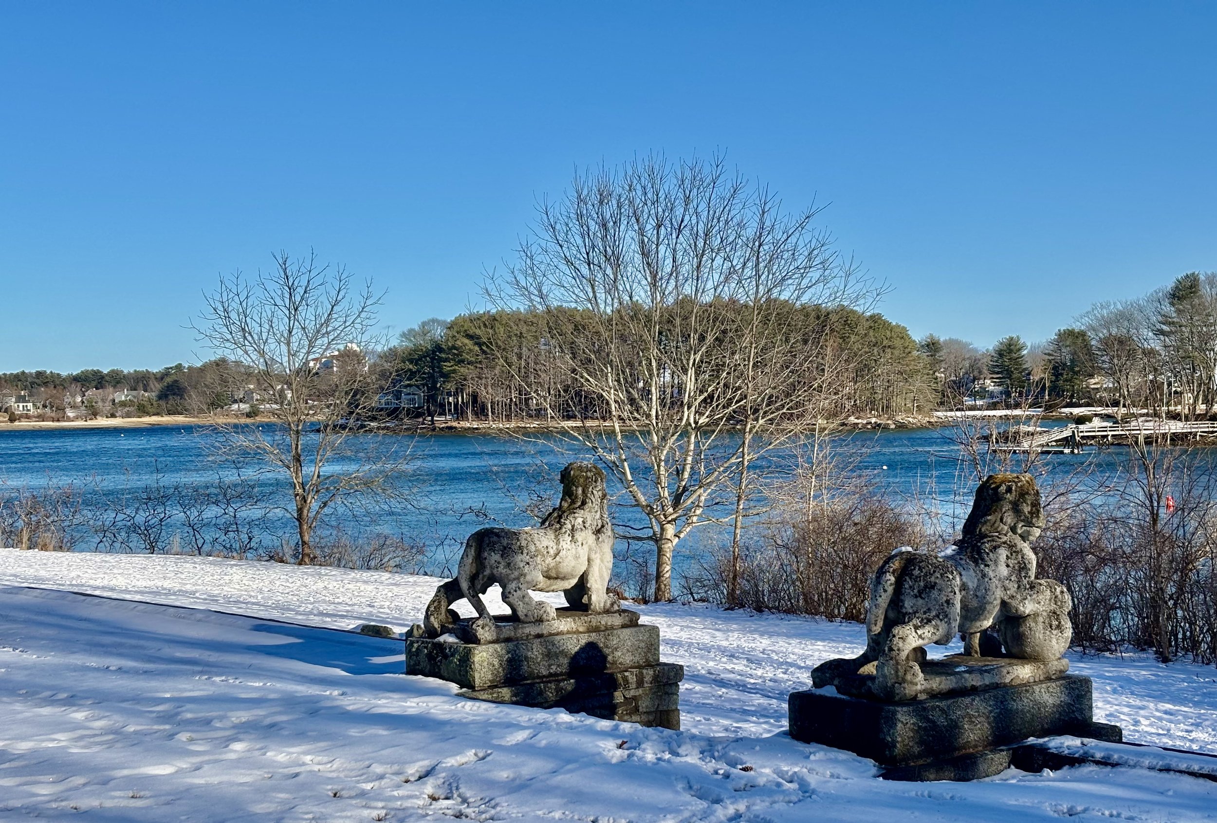 Two vintage lions keep a watchful eye on the front lawns at Carey Cottage.