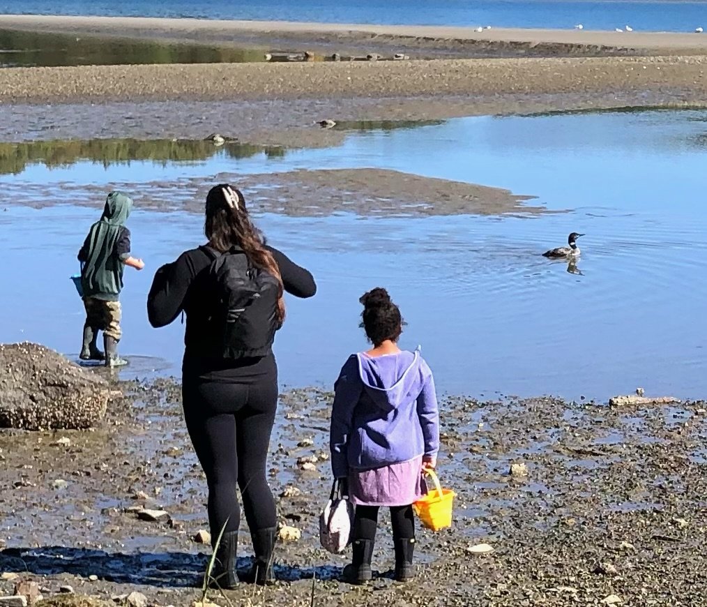 A loon surprised us with a visit to our tide pool in October.
