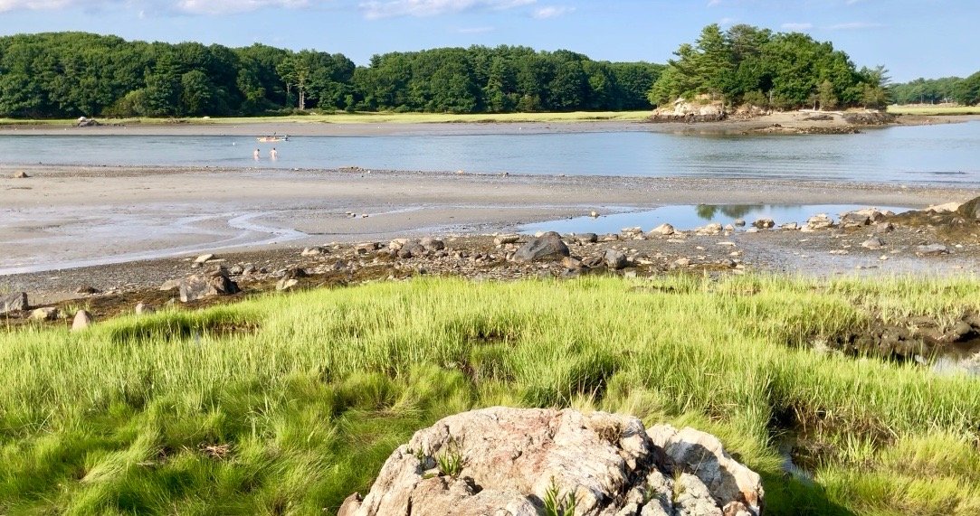From May to October, the shallow pools at low tide are teeming with the creatures of the intertidal zones