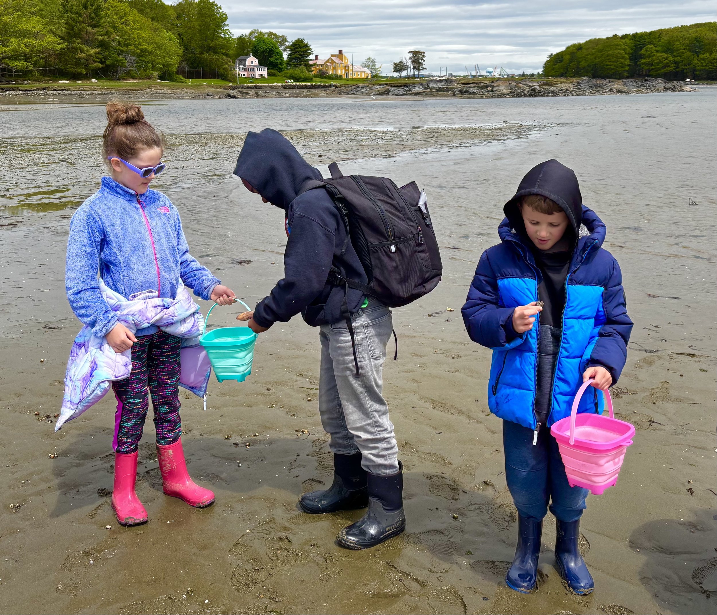 April tide pooling for crabs, clams and moon snails.