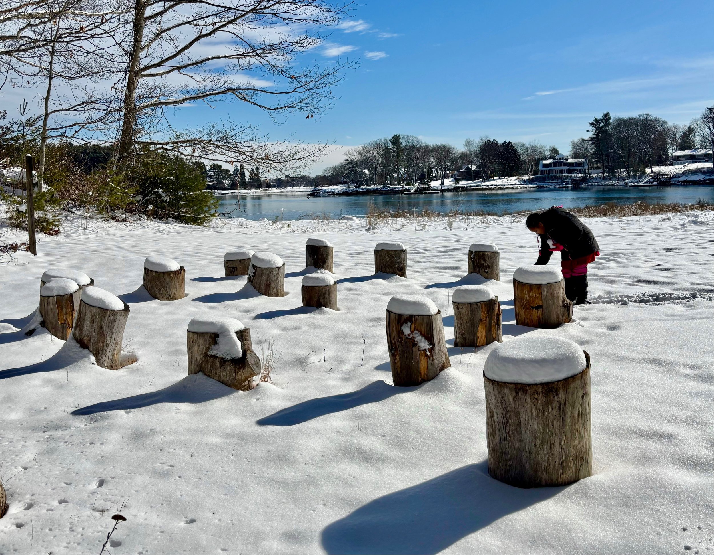 The outdoor classroom receives a winter visitor.