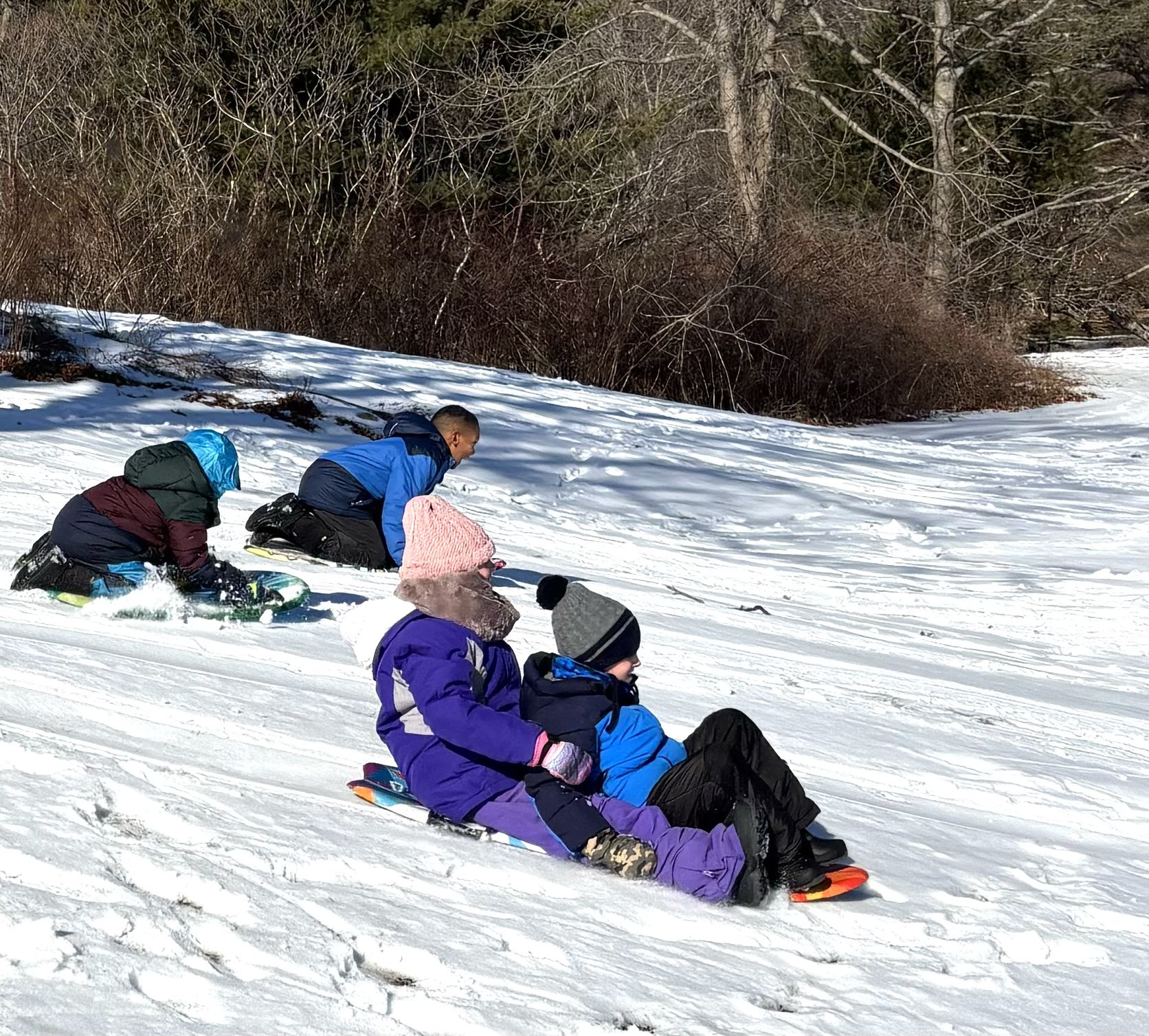 A gentle slope provides just enough of a thrill for young sledders.