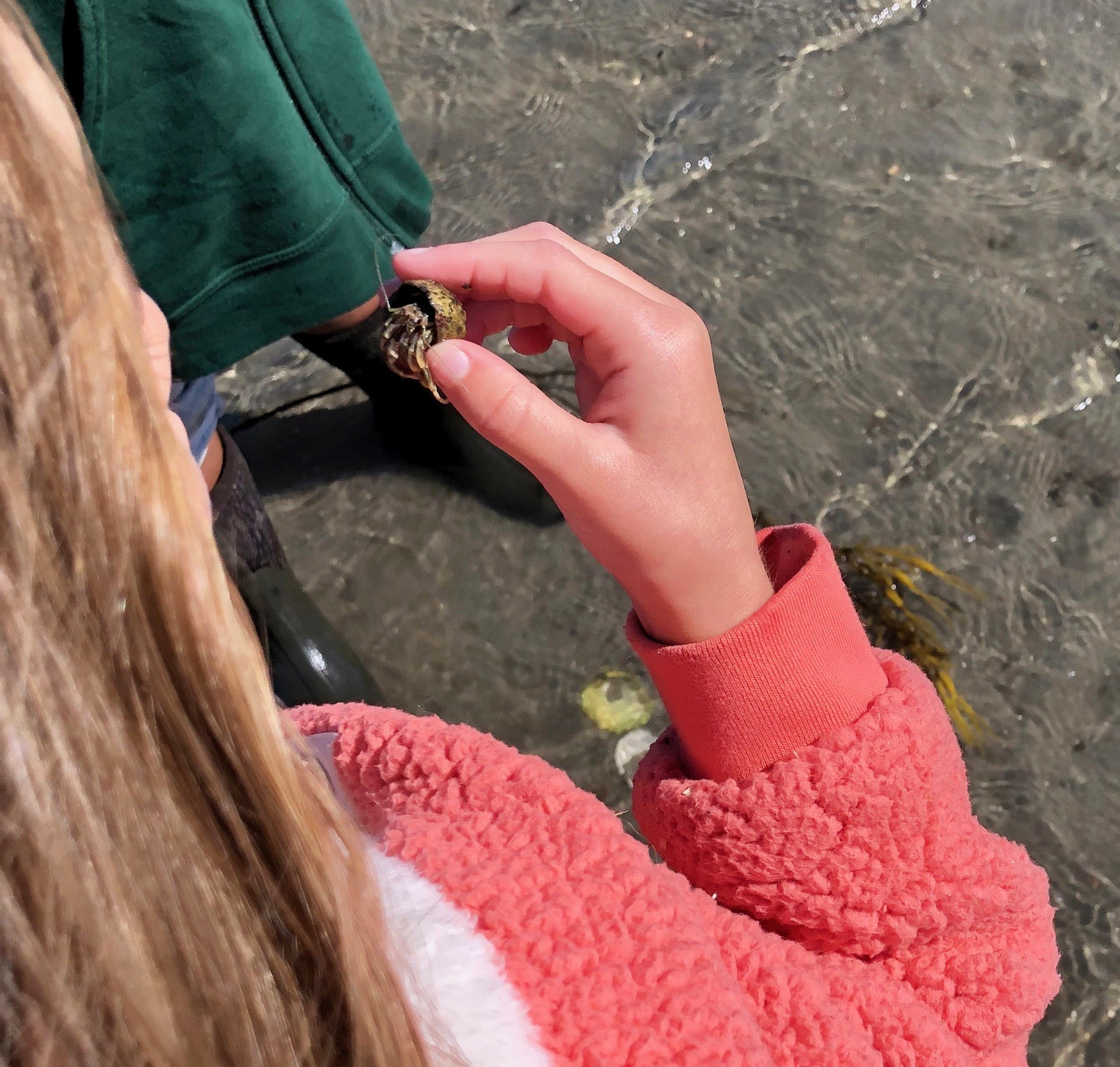 The excellent and educational tidepooling is a highlight of 3 Seasons programming.