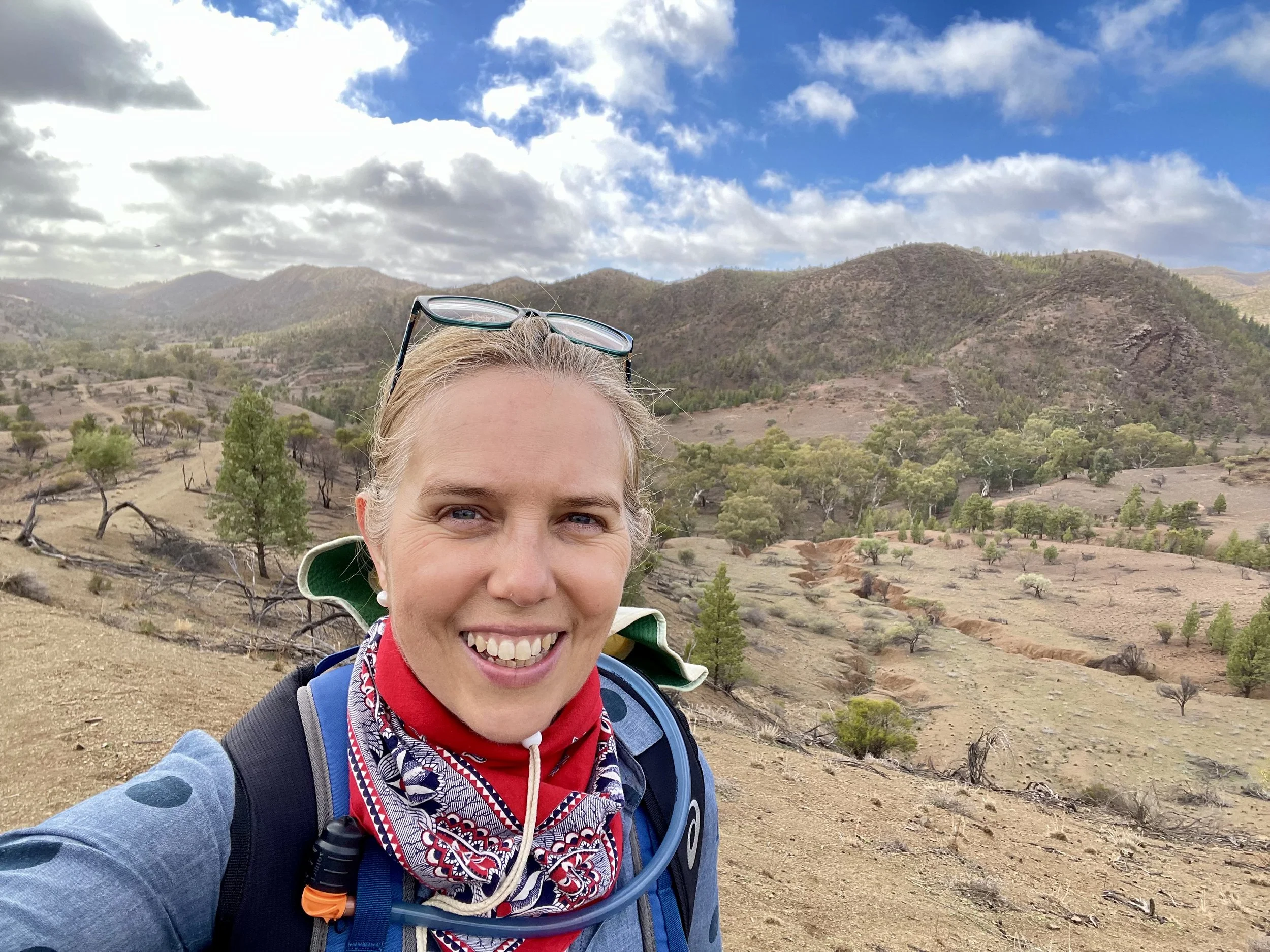 Leadership Coach, Suzie Thoraval, Adaptive stability, Adaptive leadership