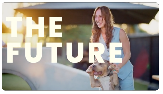 The Happiest Place on Earth? 