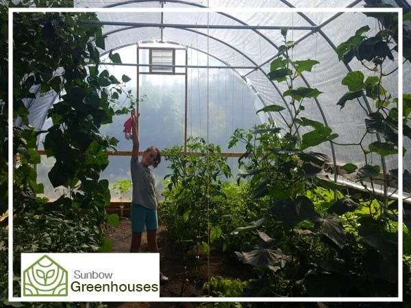 small greenhouse3.jpg