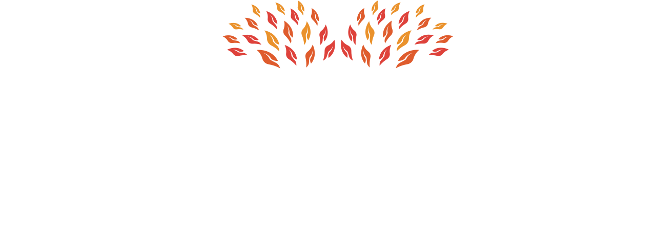 ChildWise Consulting