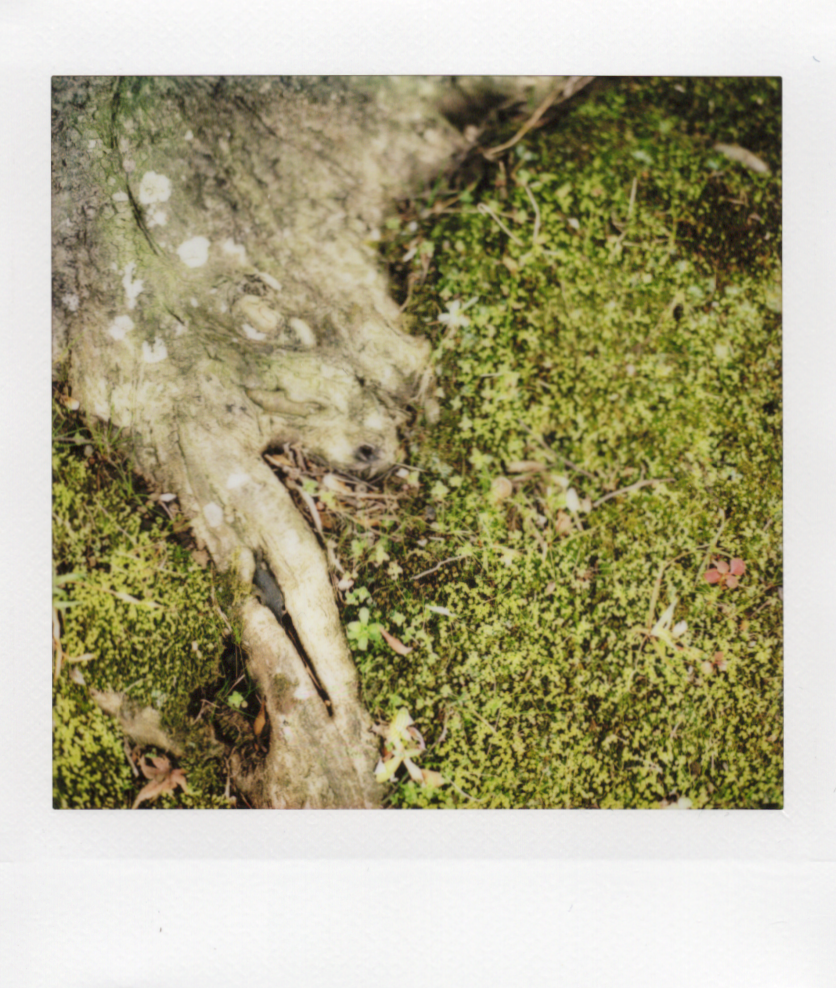 Image_20250324_0013.png