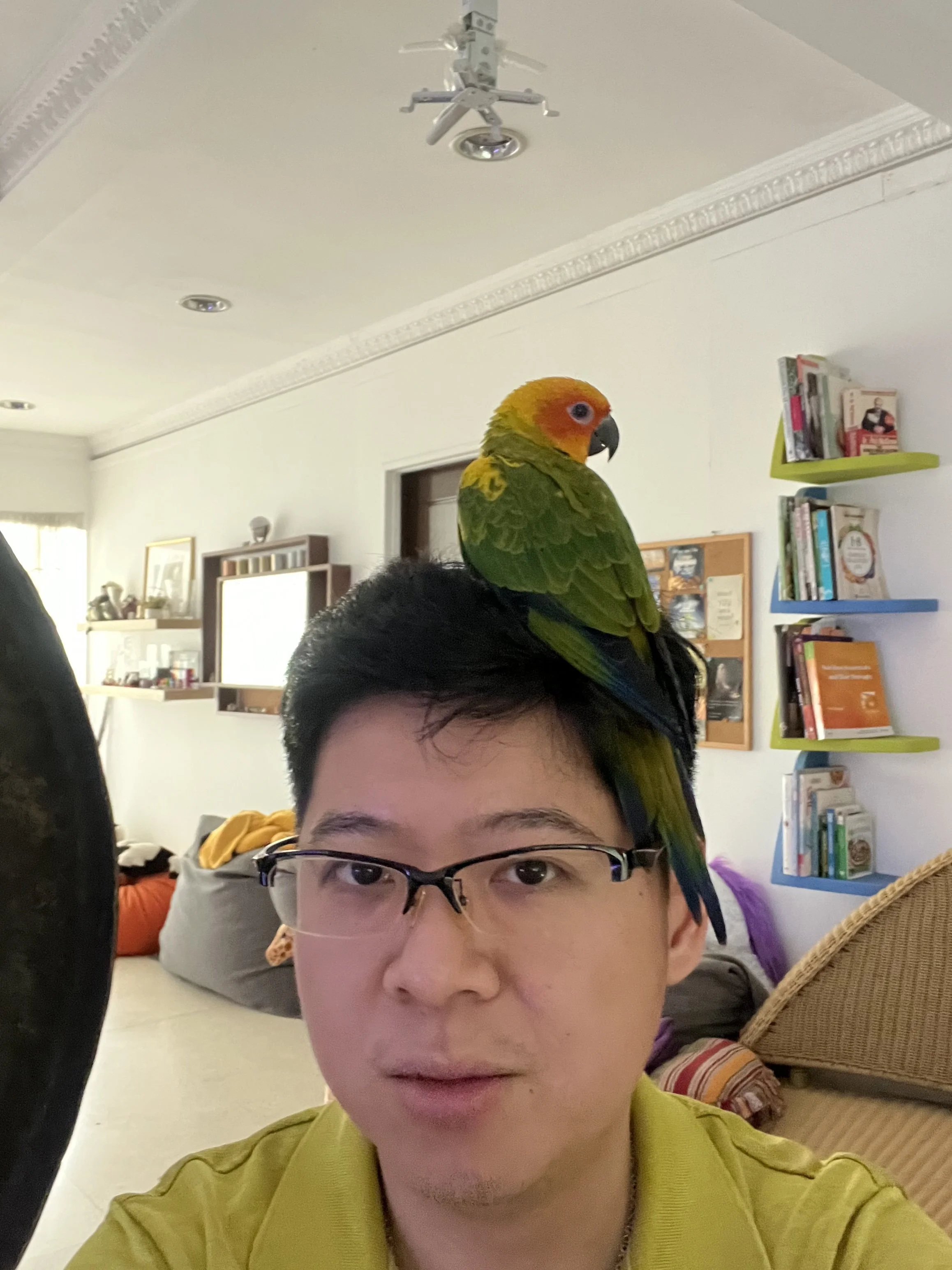 Placeholder selfie- will get a more professional photo later.jpg
