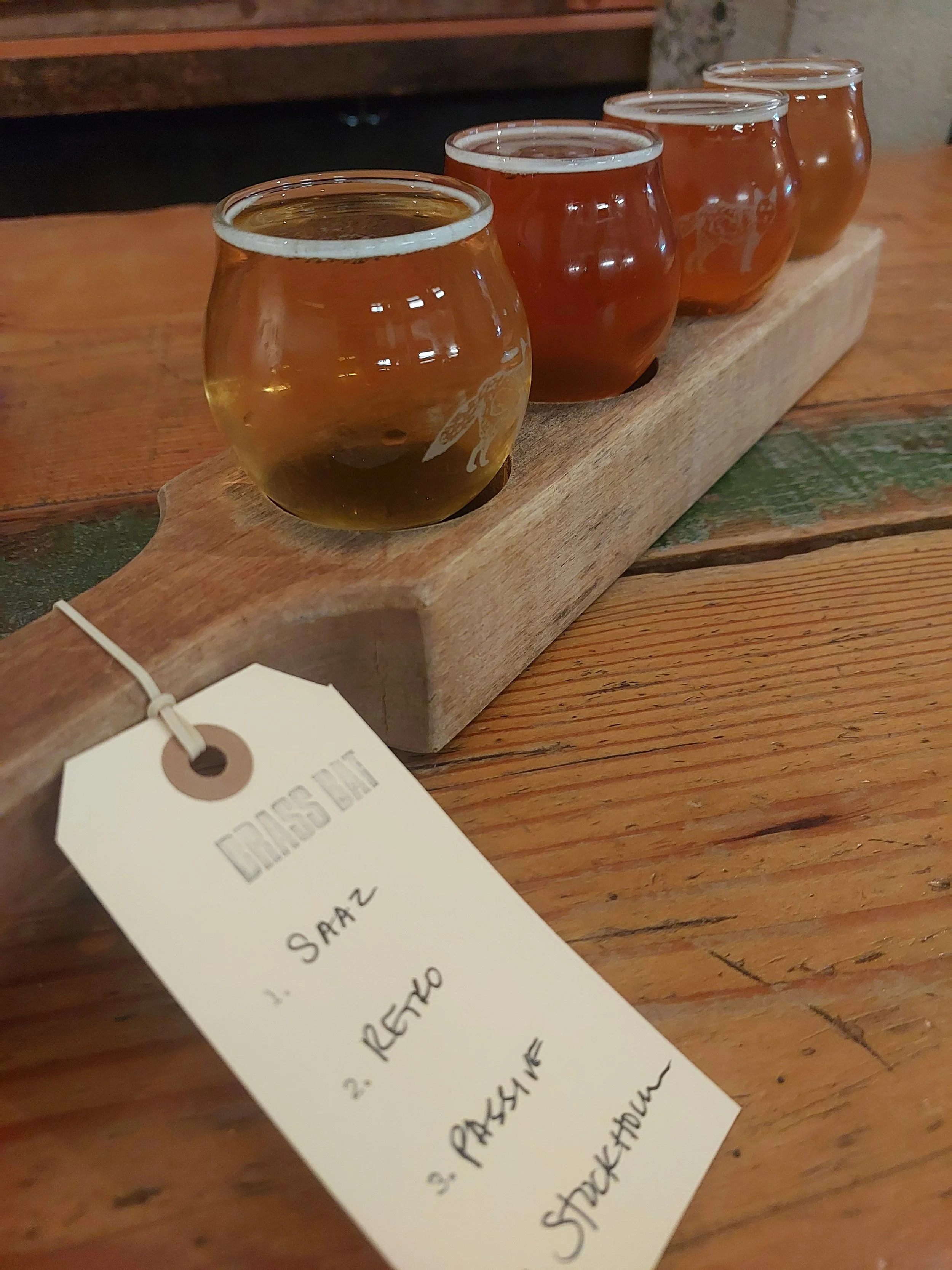 Exploring Vancouver's Brewery Creek.