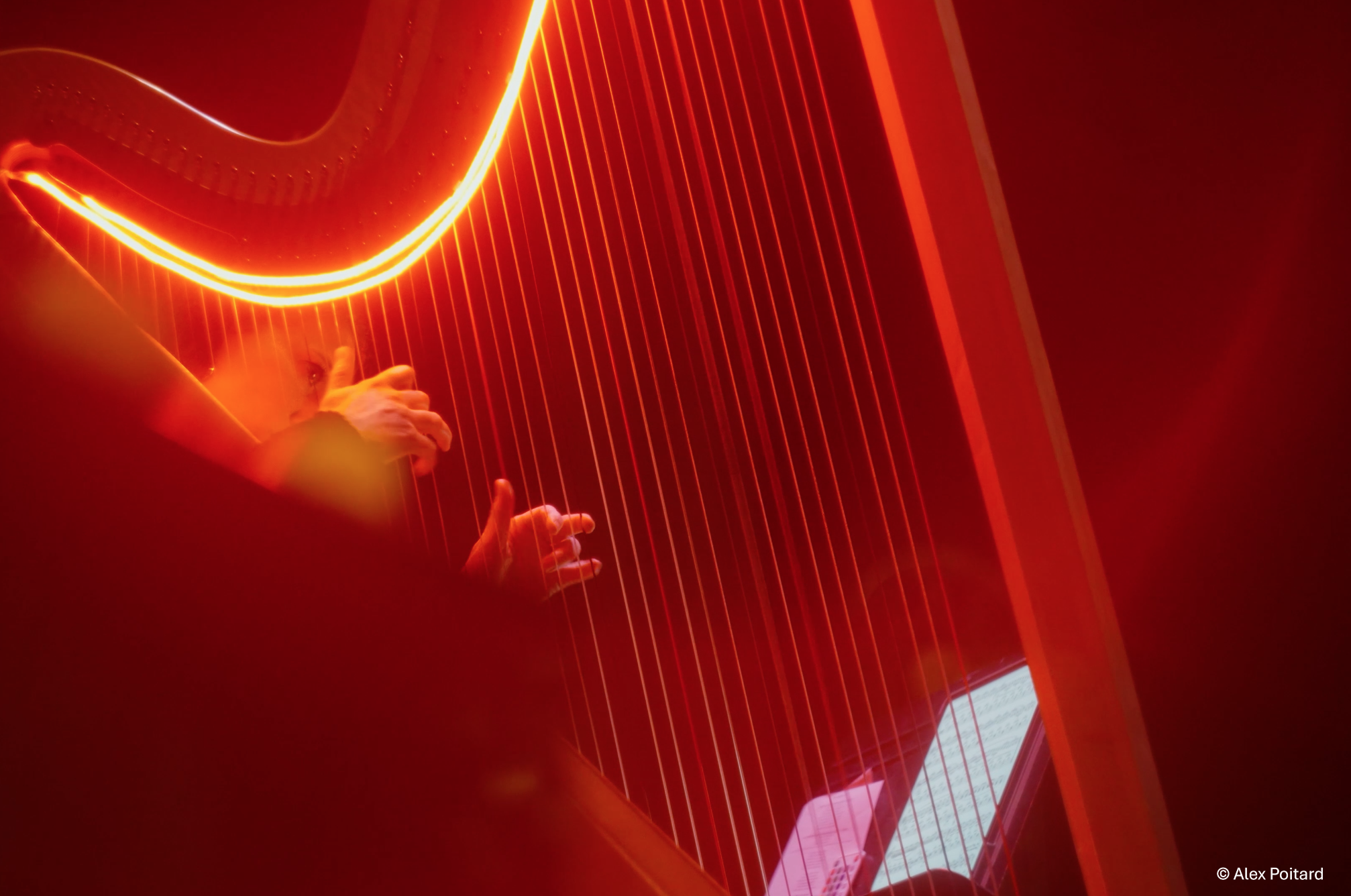 Miroir rouge copyright.PNG