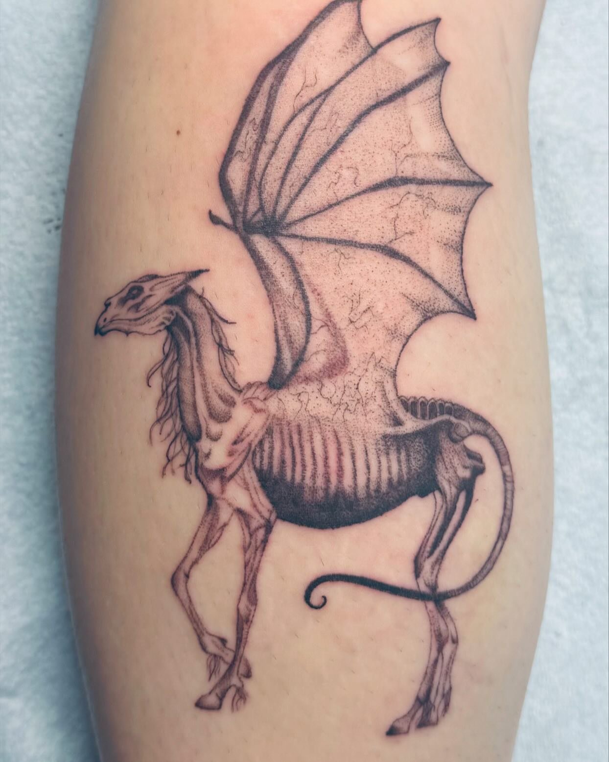 ✨Calling all book and Harry Potter lovers✨

First tap out tattoo session complete! She hung on strong till the bitter end too! 

Loved being able to have some creative freedom, but also having trust to create this beautiful Thestral! Isn&rsquo;t she 