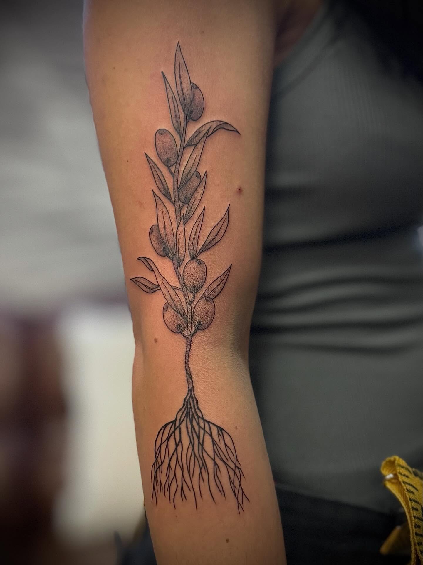 The prettiest of olive trees I got to do for this client 🖤🫒

Seriously OBSESSED with her! 😍
.
.
.
.
.
#olympia #olympiatattooartist #tacoma #tacomatattooartist #puyallup #puyalluptattooartist #seattle #seattletattooartist #olive #olivetree #oliveb