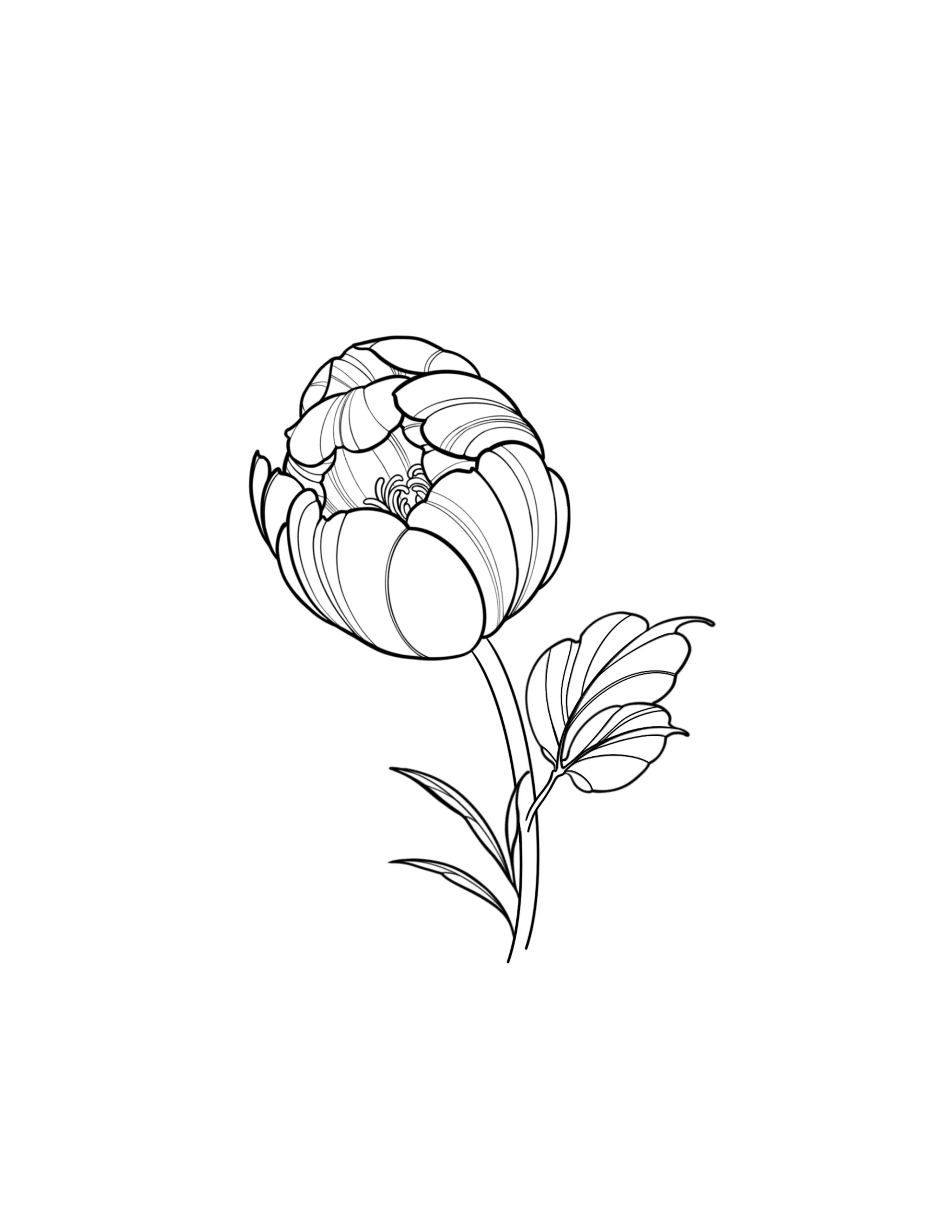 Small Floral Flash