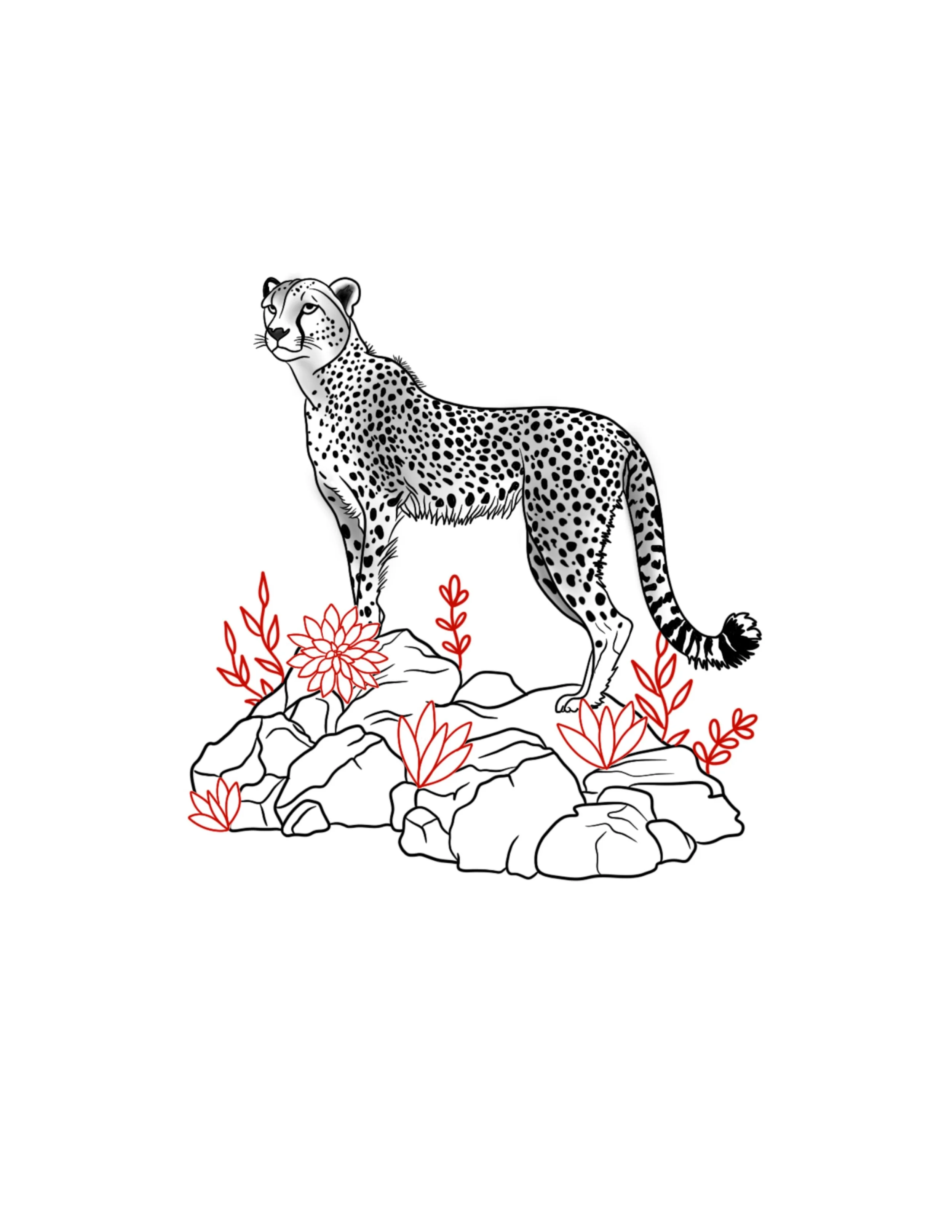 Cheetah 2-tone Flash
